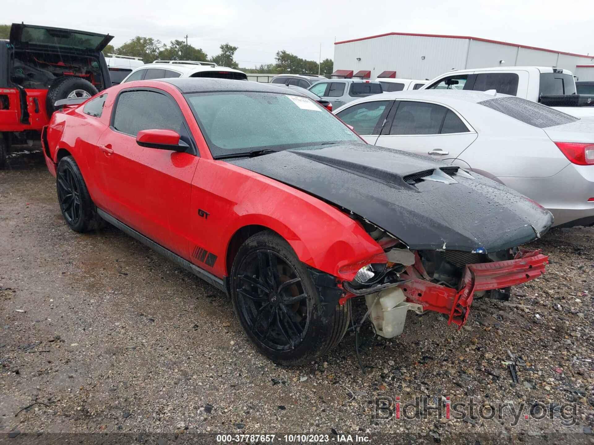 Photo 1ZVBP8CH1A5140564 - FORD MUSTANG 2010