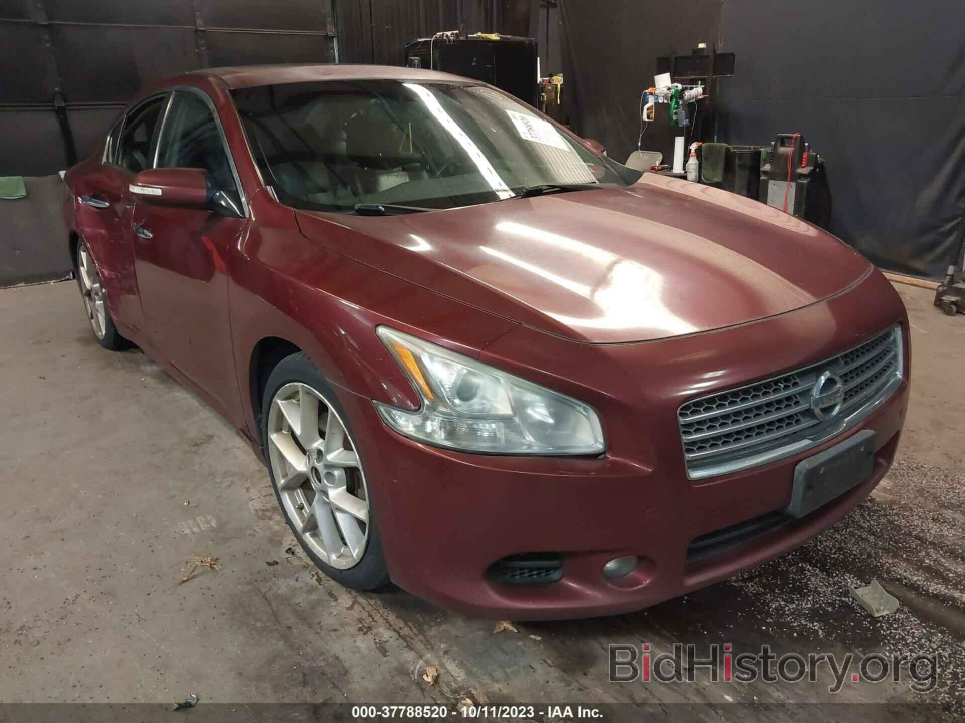 Photo 1N4AA5AP2AC822475 - NISSAN MAXIMA 2010