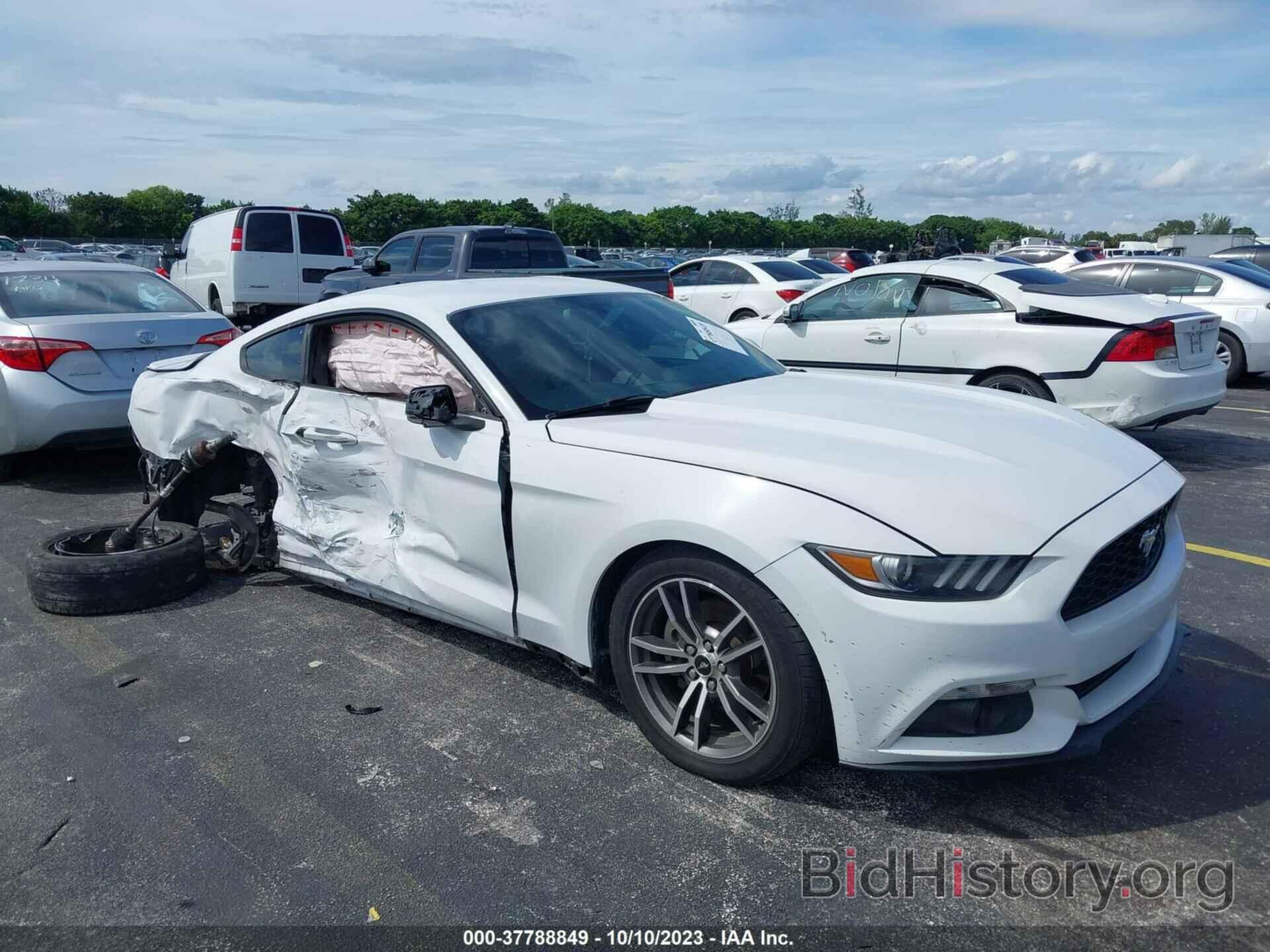 Photo 1FA6P8TH4H5295162 - FORD MUSTANG 2017