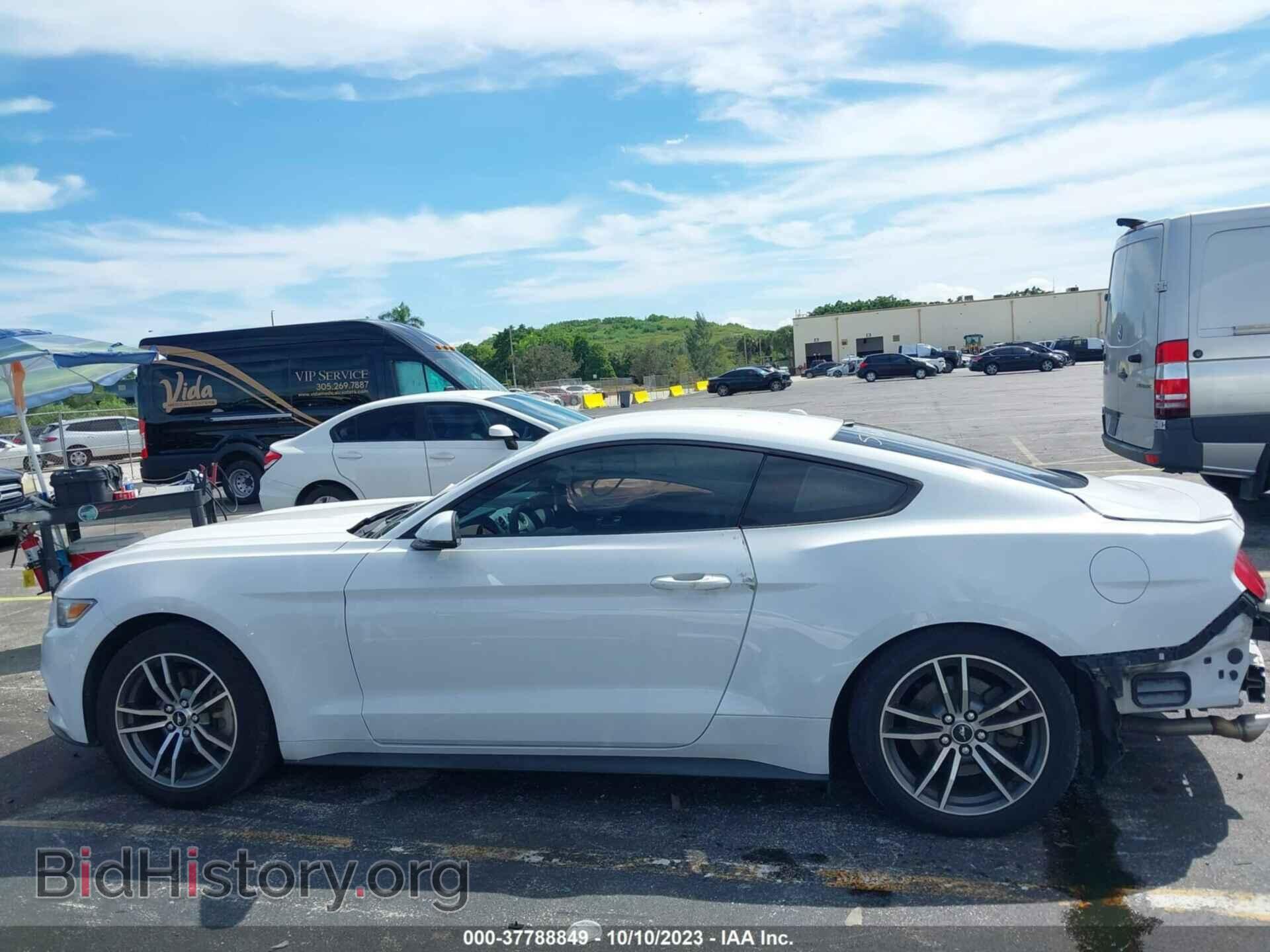 2017 FORD MUSTANG - VIN: 1FA6P8TH4H5295162 - Фото 13