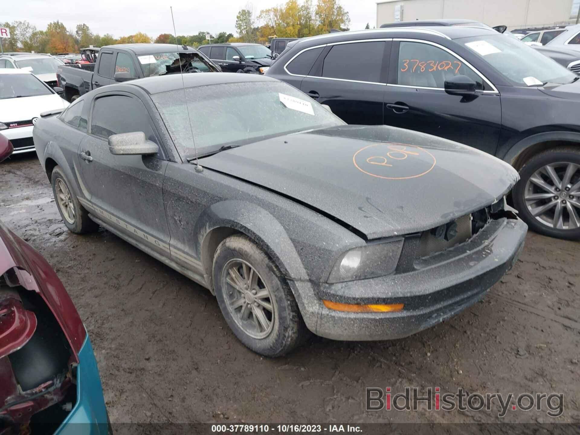 Photo 1ZVHT80N195117295 - FORD MUSTANG 2009
