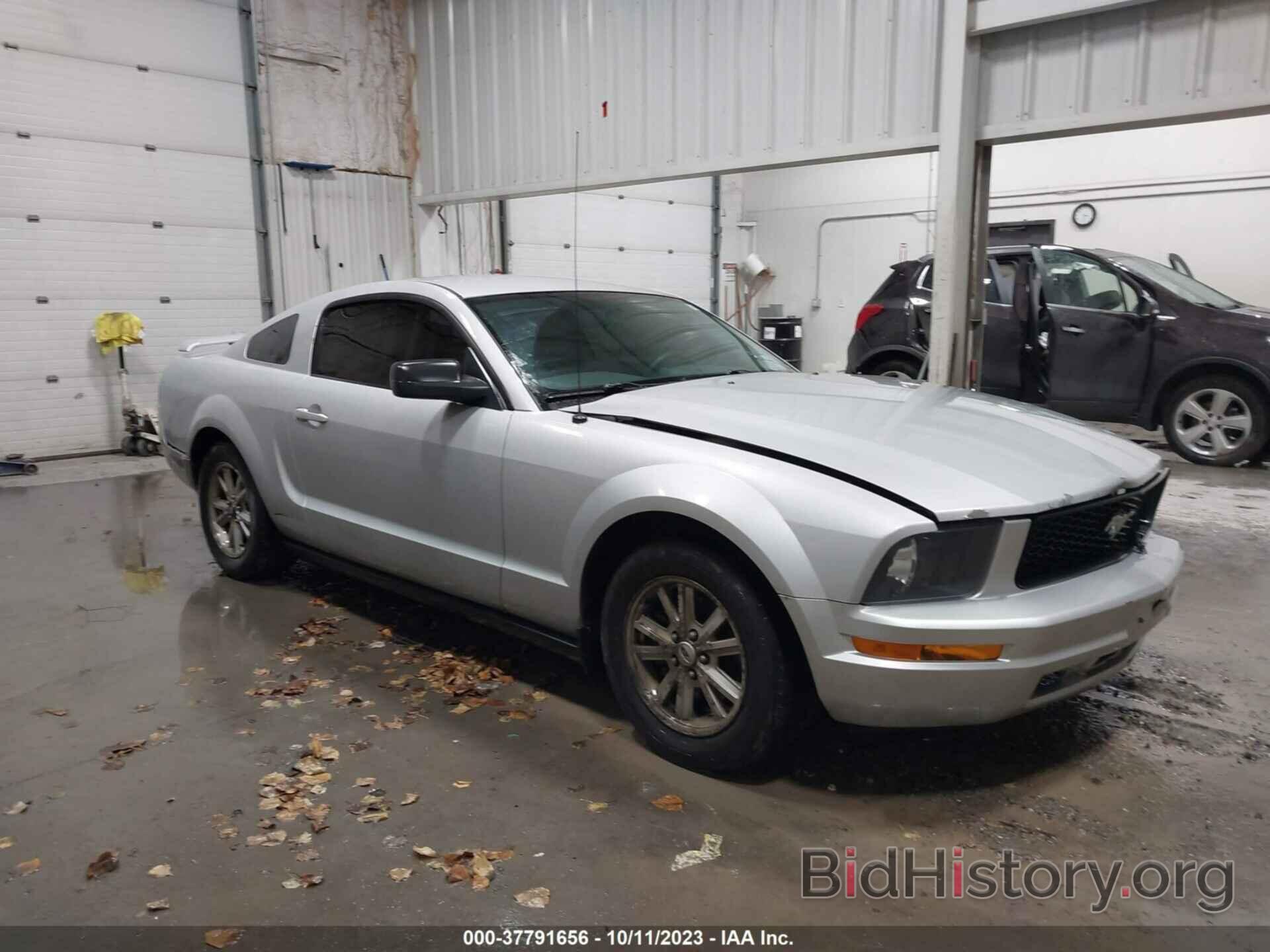 Photo 1ZVFT80N665226015 - FORD MUSTANG 2006