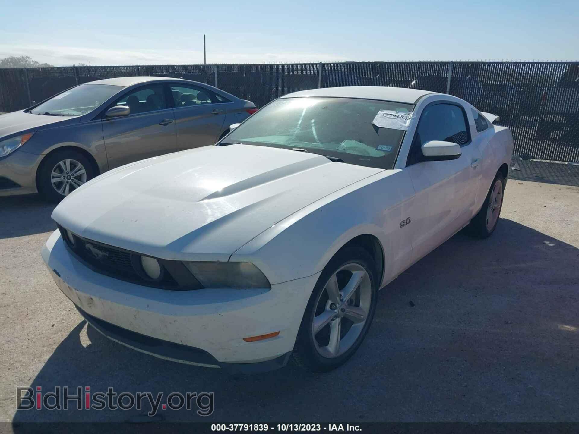 2012 FORD MUSTANG - VIN: 1ZVBP8CF7C5277493 - Фото 2