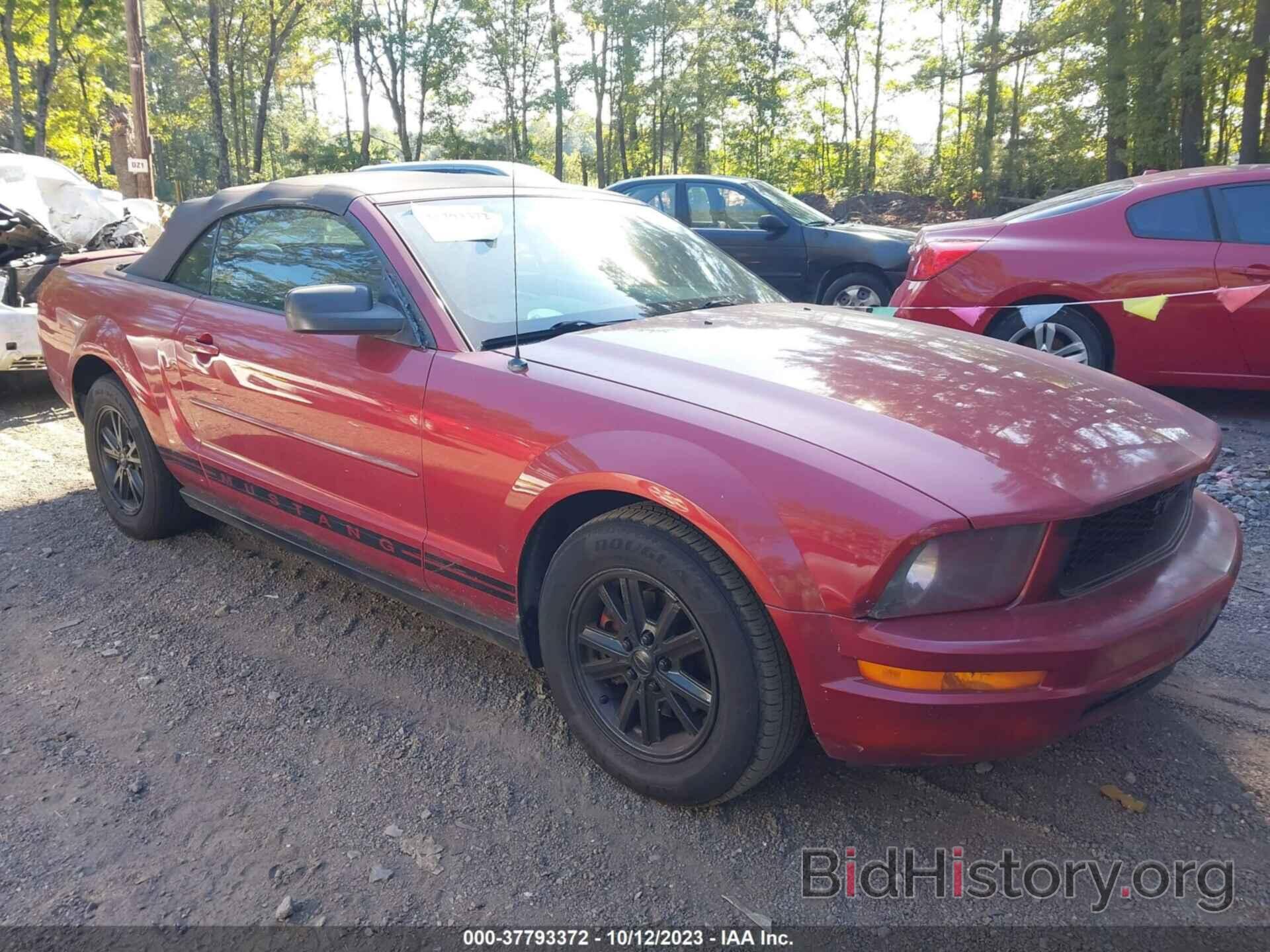 Photo 1ZVFT84N975336794 - FORD MUSTANG 2007