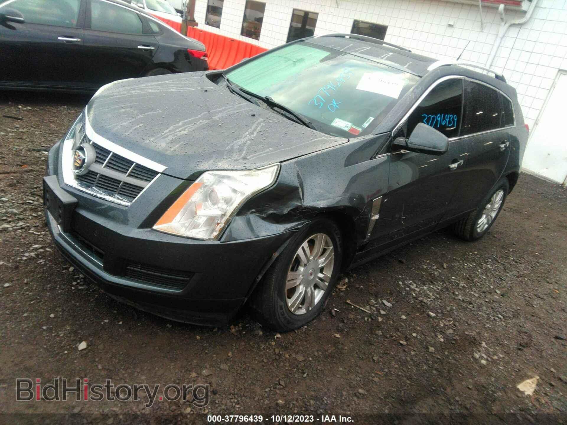 2011 CADILLAC SRX - VIN: 3GYFNDEY0BS596704 - Фото 2