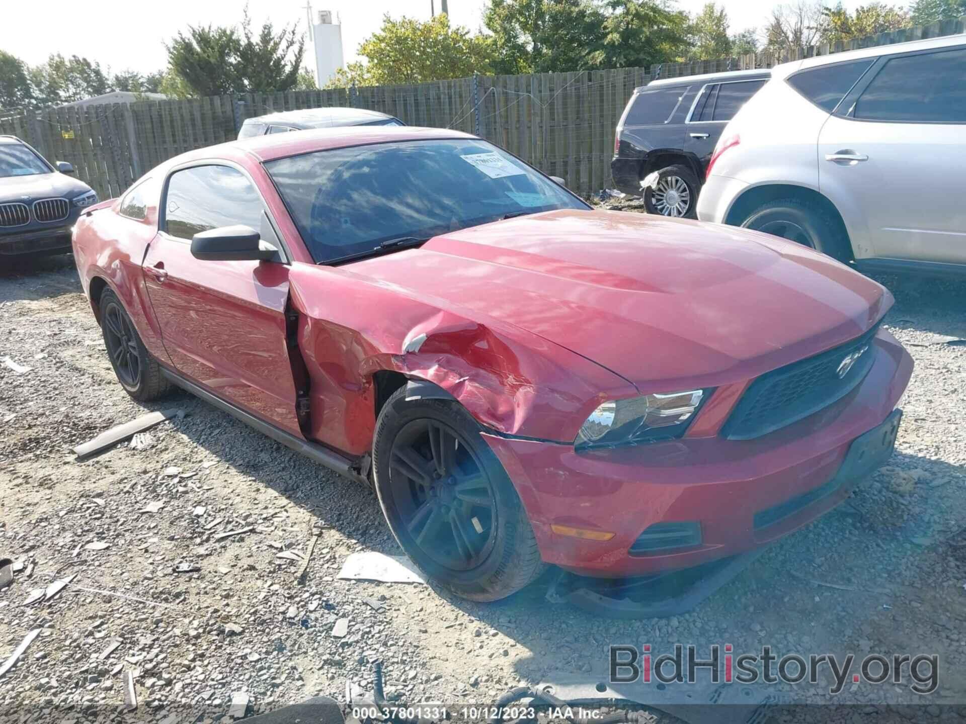 Photo 1ZVBP8AM4C5287707 - FORD MUSTANG 2012