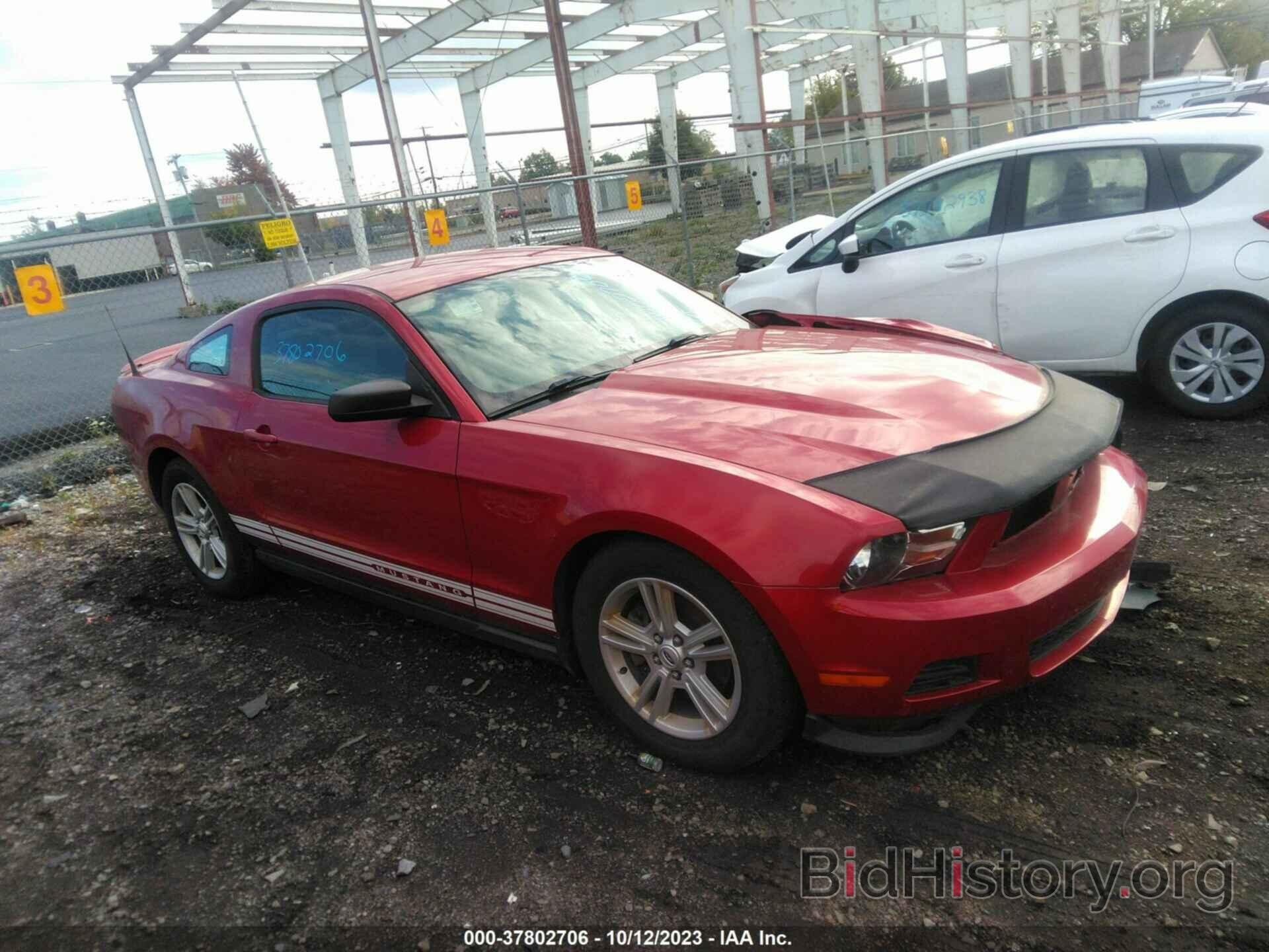 Photo 1ZVBP8AM2C5283414 - FORD MUSTANG 2012