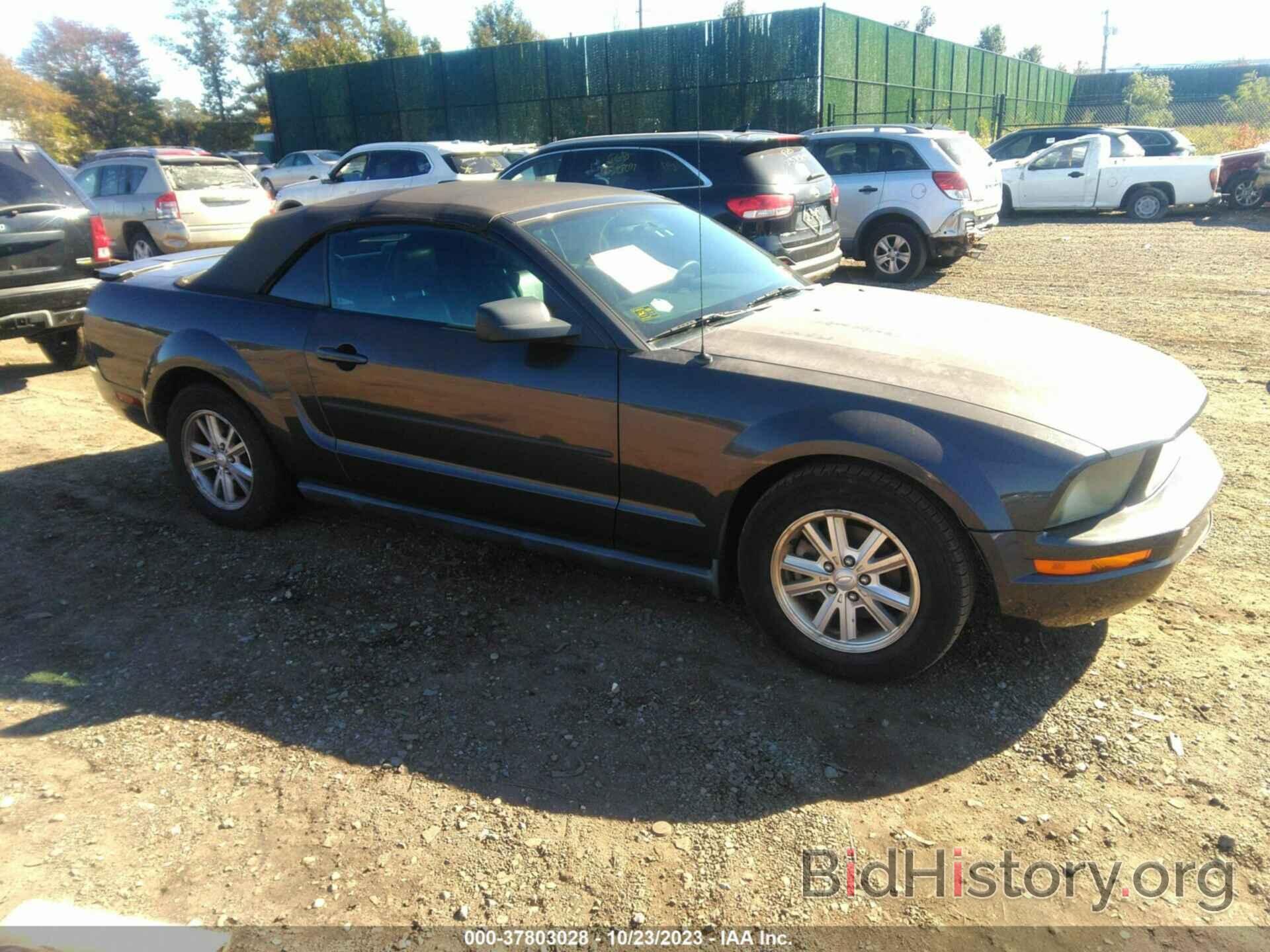Photo 1ZVFT84N975333328 - FORD MUSTANG 2007