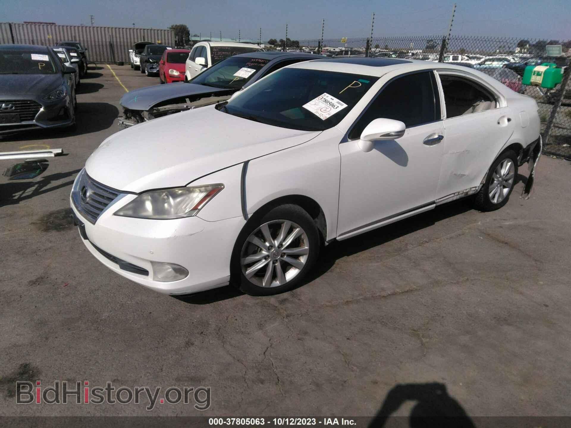2010 LEXUS ES 350 - VIN: JTHBK1EG1A2404203 - Фото 2