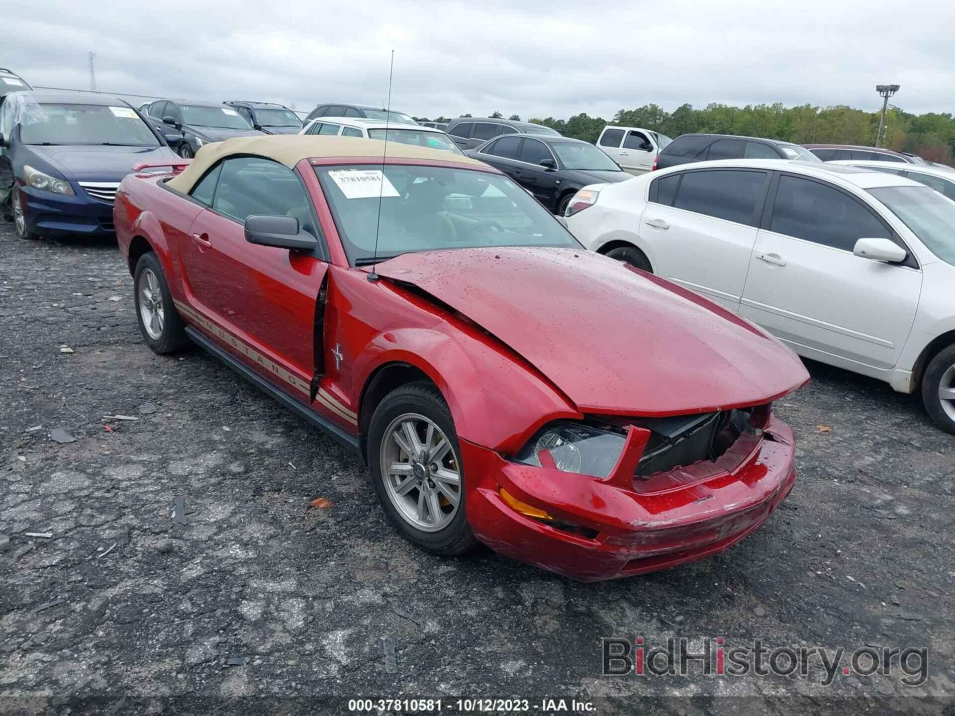 Photo 1ZVFT84N665105477 - FORD MUSTANG 2006