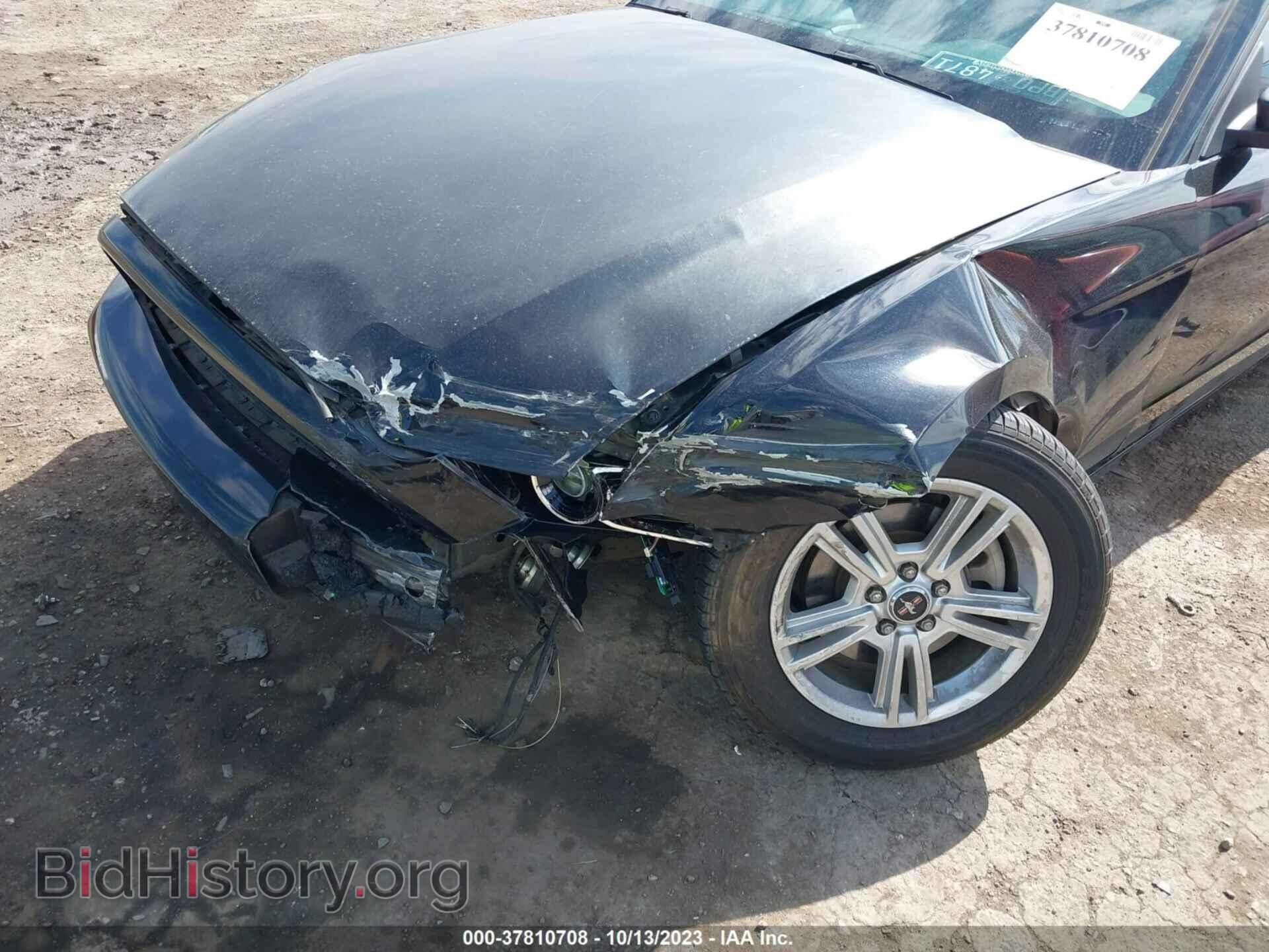 2014 FORD MUSTANG - VIN: 1ZVBP8EM4E5318368 - Фото 6