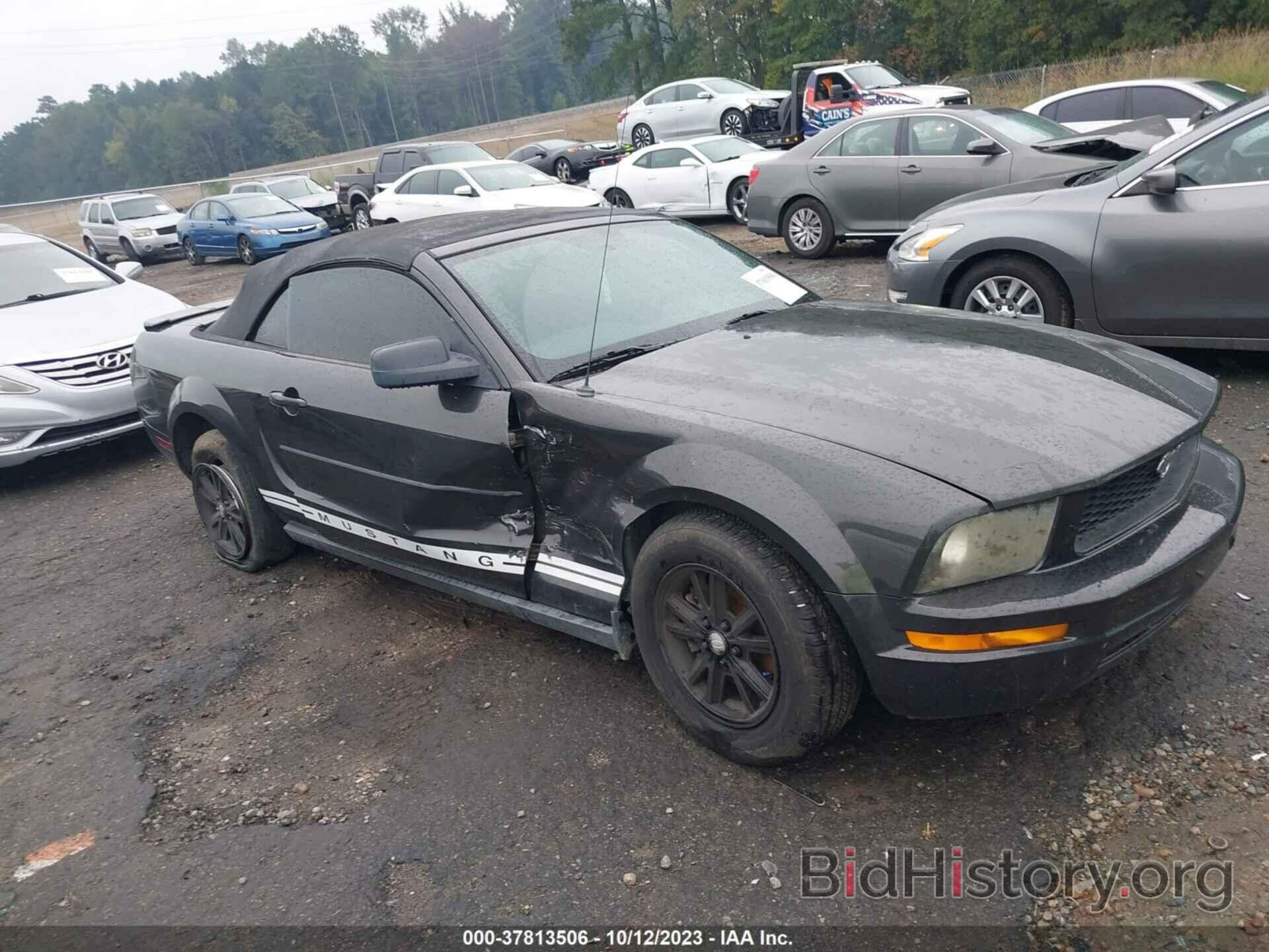 Photo 1ZVHT84N085209099 - FORD MUSTANG 2008