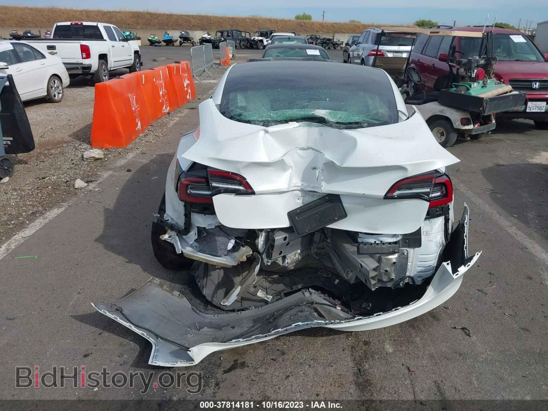 2019 TESLA MODEL 3 - VIN: 5YJ3E1EA5KF486184 - Фото 14