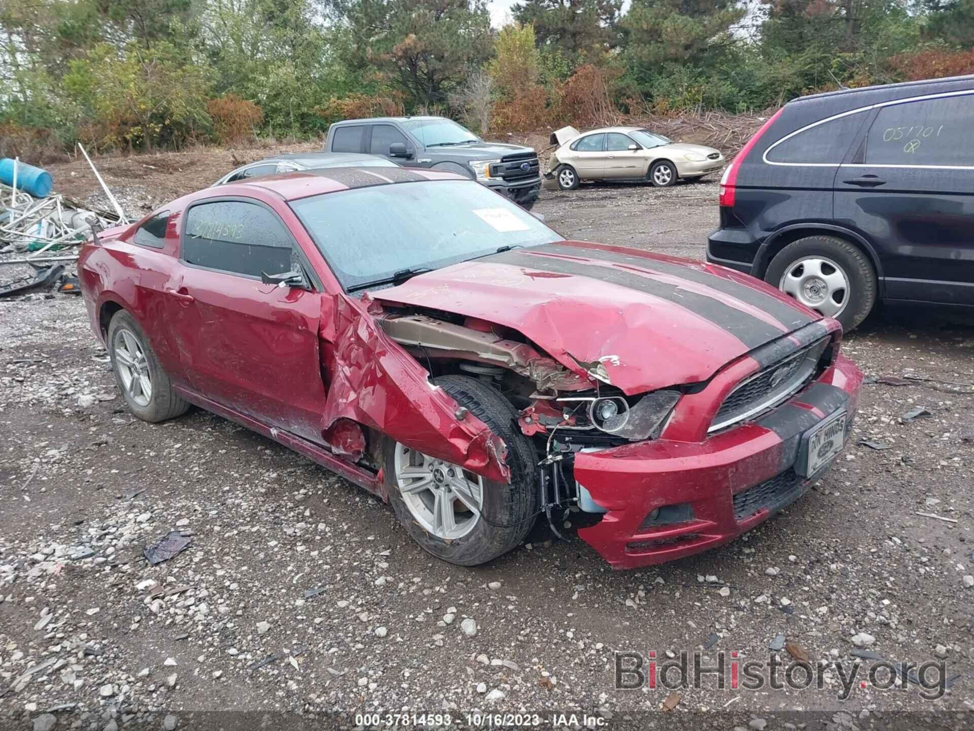 Photo 1ZVBP8AM1E5288882 - FORD MUSTANG 2014