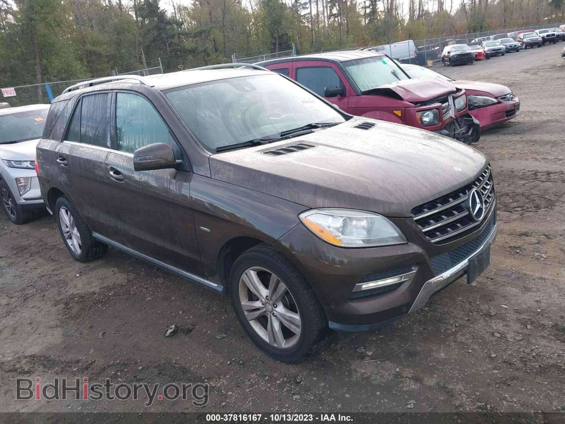 Photo 4JGDA5HB2CA019189 - MERCEDES-BENZ M-CLASS 2012