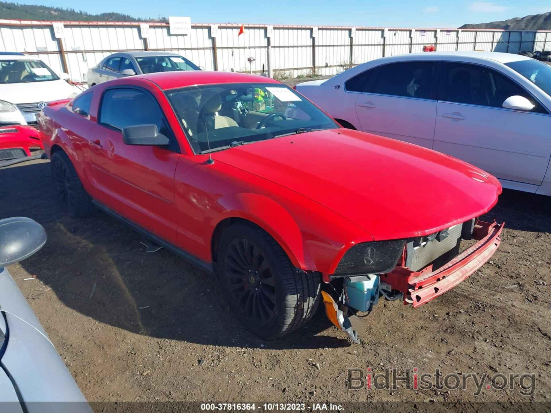 Photo 1ZVHT80NX85177493 - FORD MUSTANG 2008