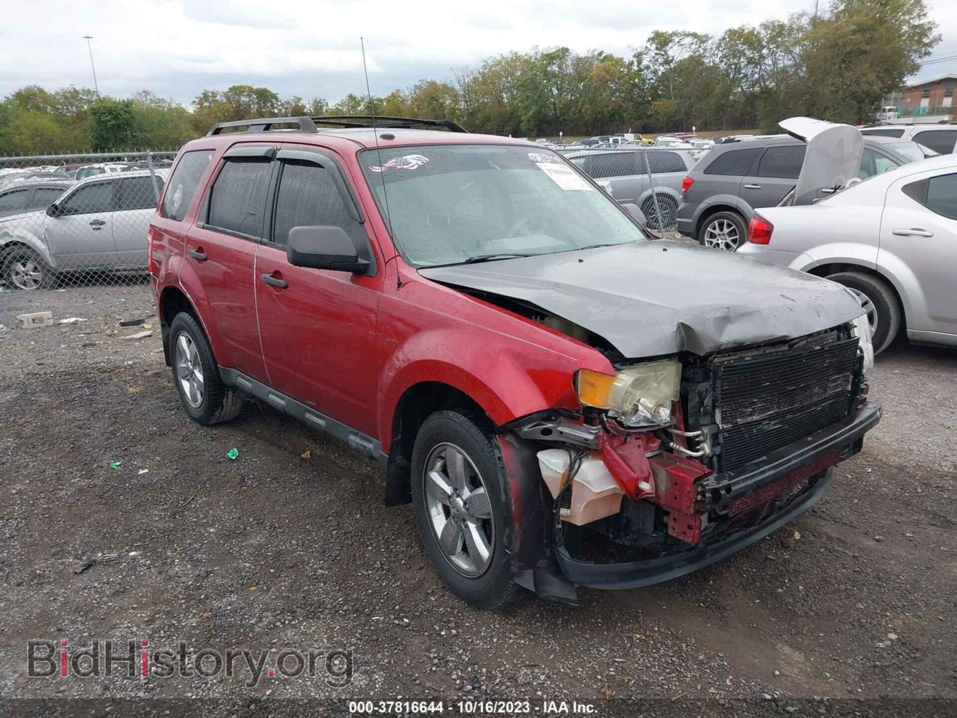 Фотография 1FMCU0DG4CKC17032 - FORD ESCAPE 2012