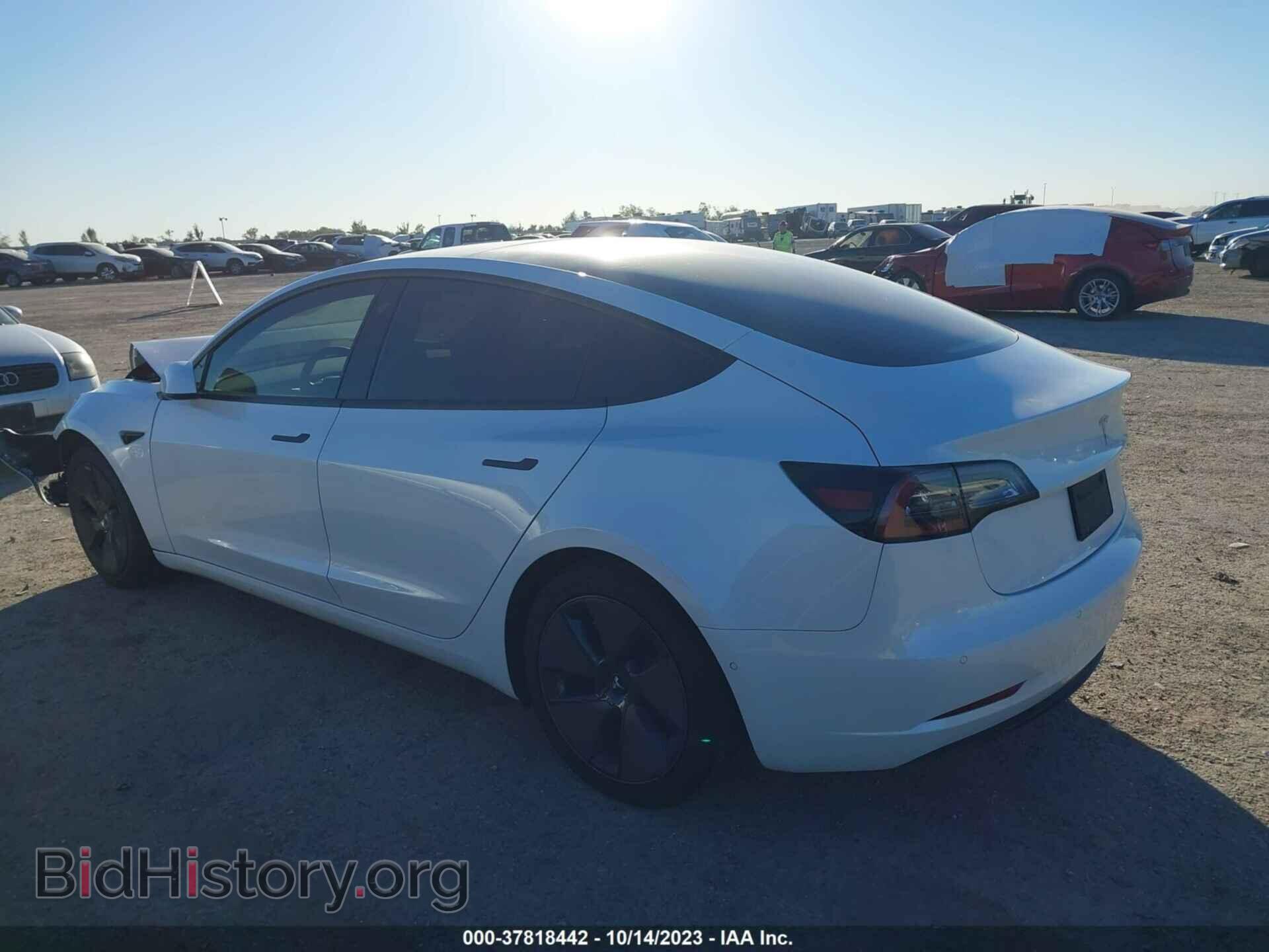 2021 TESLA MODEL 3 - VIN: 5YJ3E1EA0MF923379 - Фото 3
