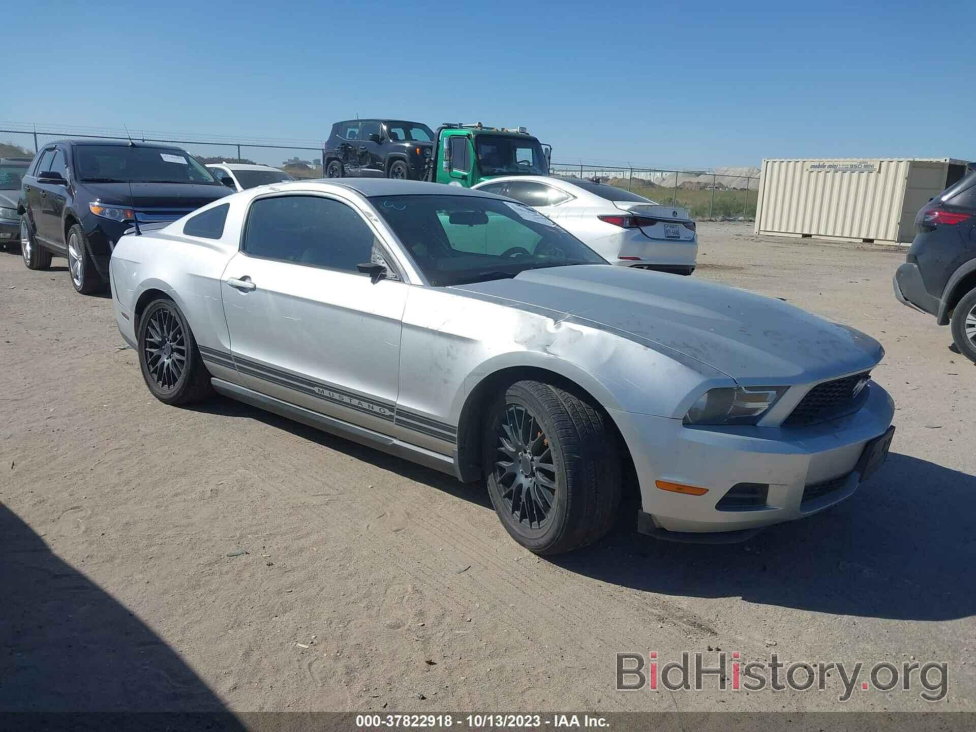 Photo 1ZVBP8AN8A5130851 - FORD MUSTANG 2010