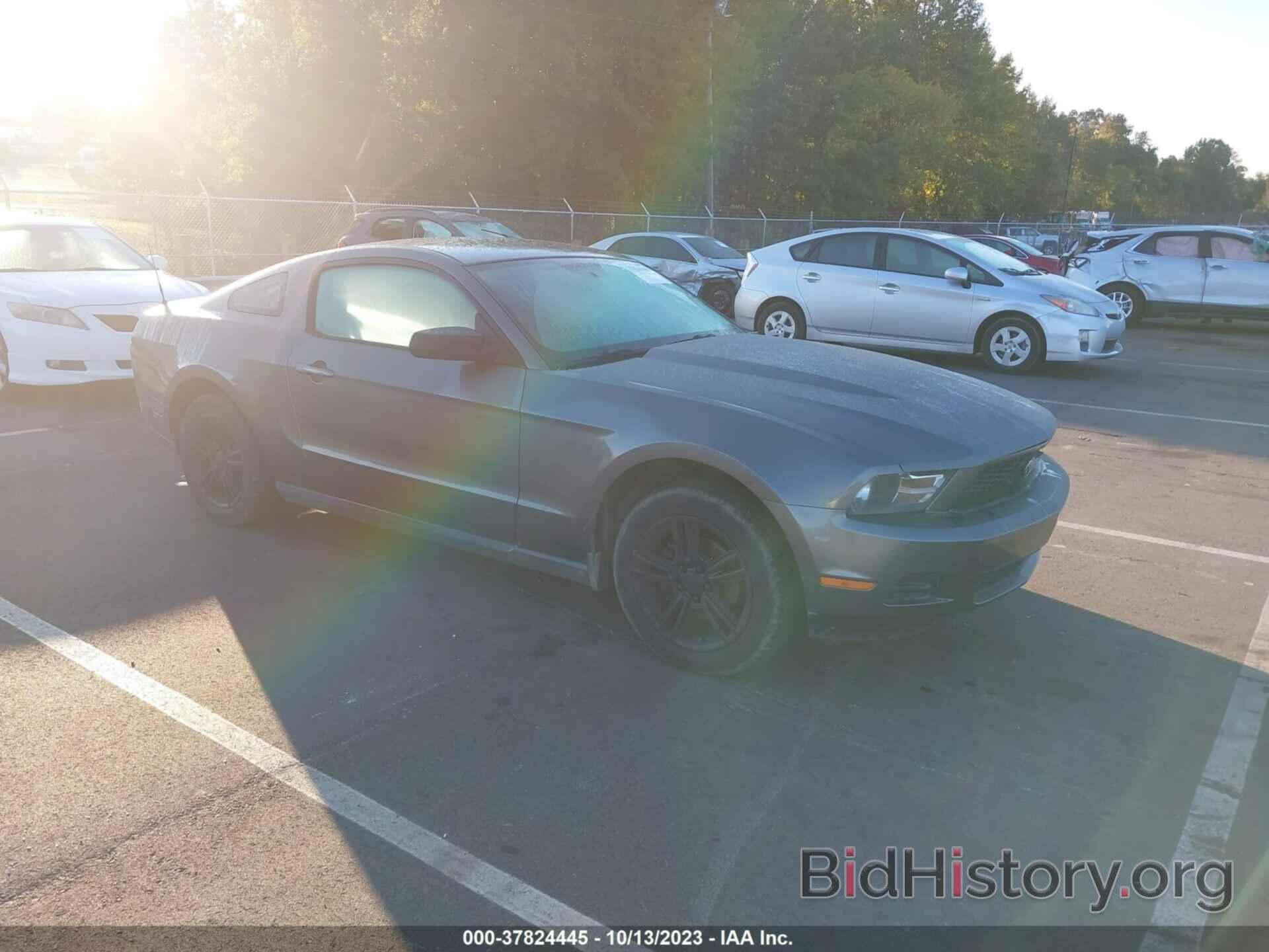 Photo 1ZVBP8AN1A5150181 - FORD MUSTANG 2010
