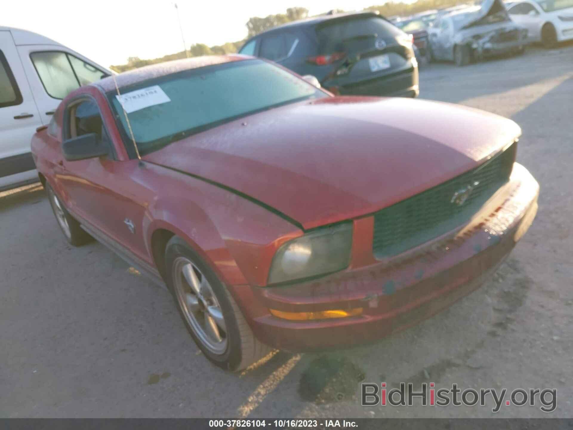 Photo 1ZVHT80N895115608 - FORD MUSTANG 2009