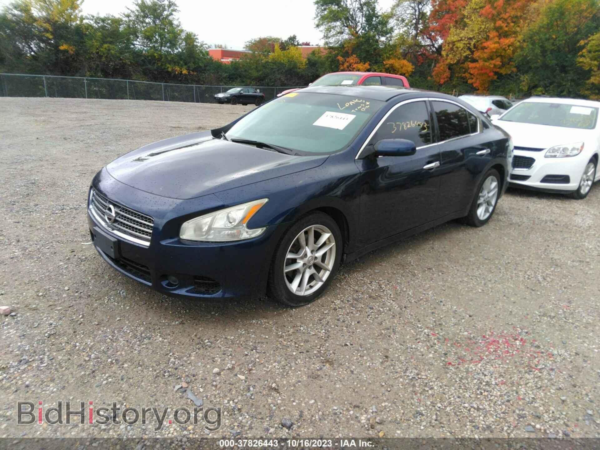 2009 NISSAN MAXIMA - VIN: 1N4AA51E19C835339 - Фото 2