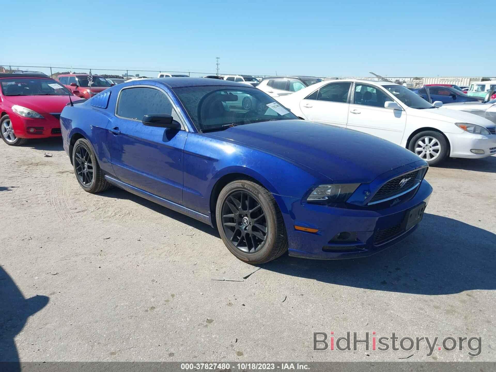 Photo 1ZVBP8AM4E5273812 - FORD MUSTANG 2014