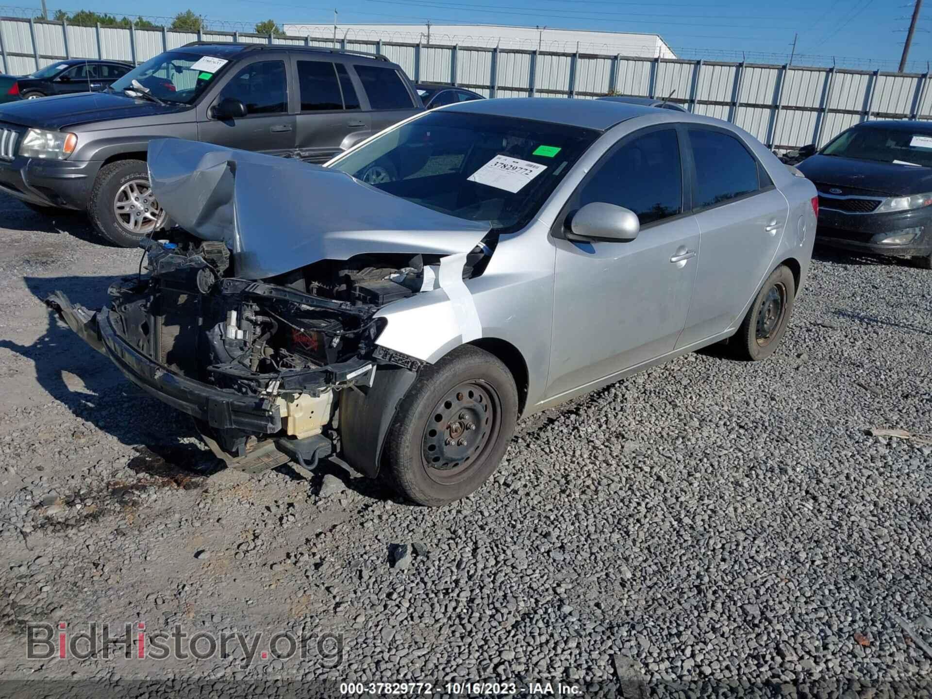 2013 KIA FORTE - VIN: KNAFT4A28D5724873 - Фото 2