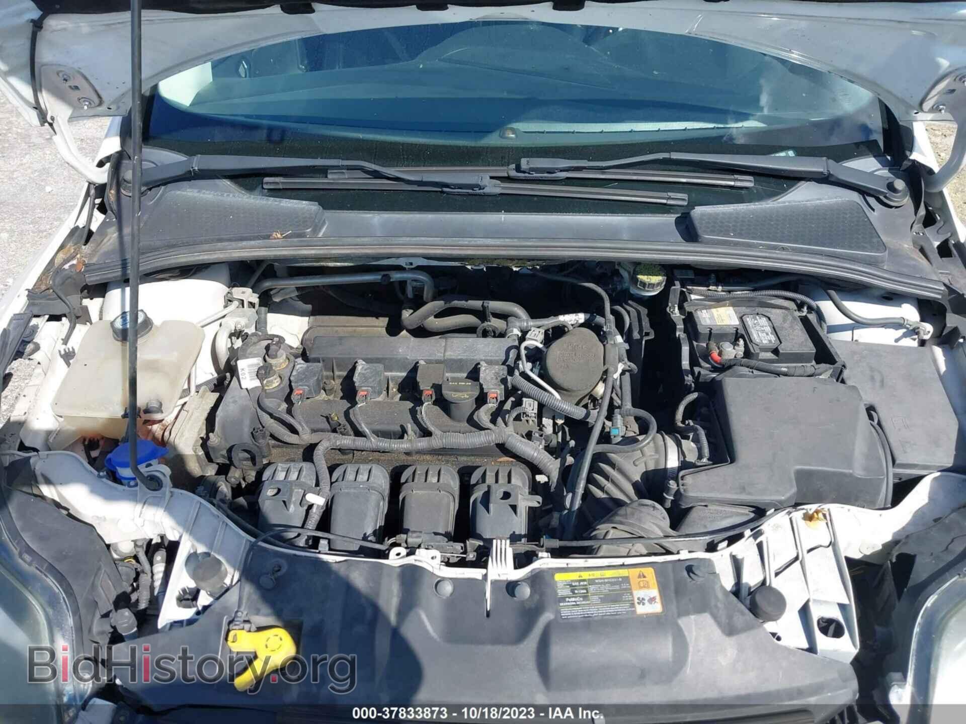 2013 FORD FOCUS - VIN: 1FADP3J2XDL161903 - Фото 10