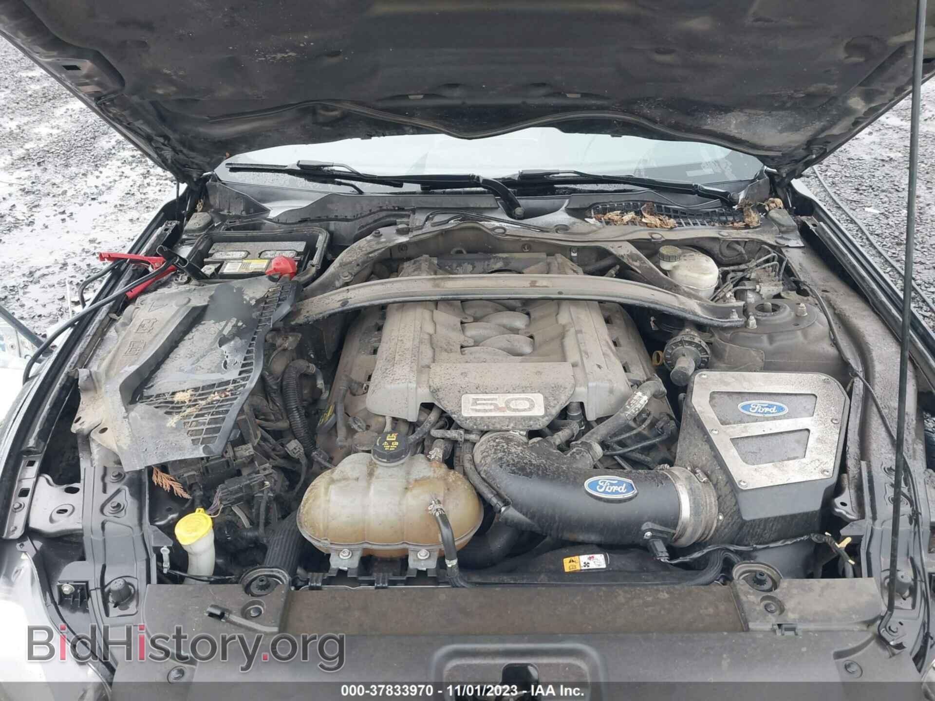 2015 FORD MUSTANG - VIN: 1FA6P8CF3F5371448 - Фото 10