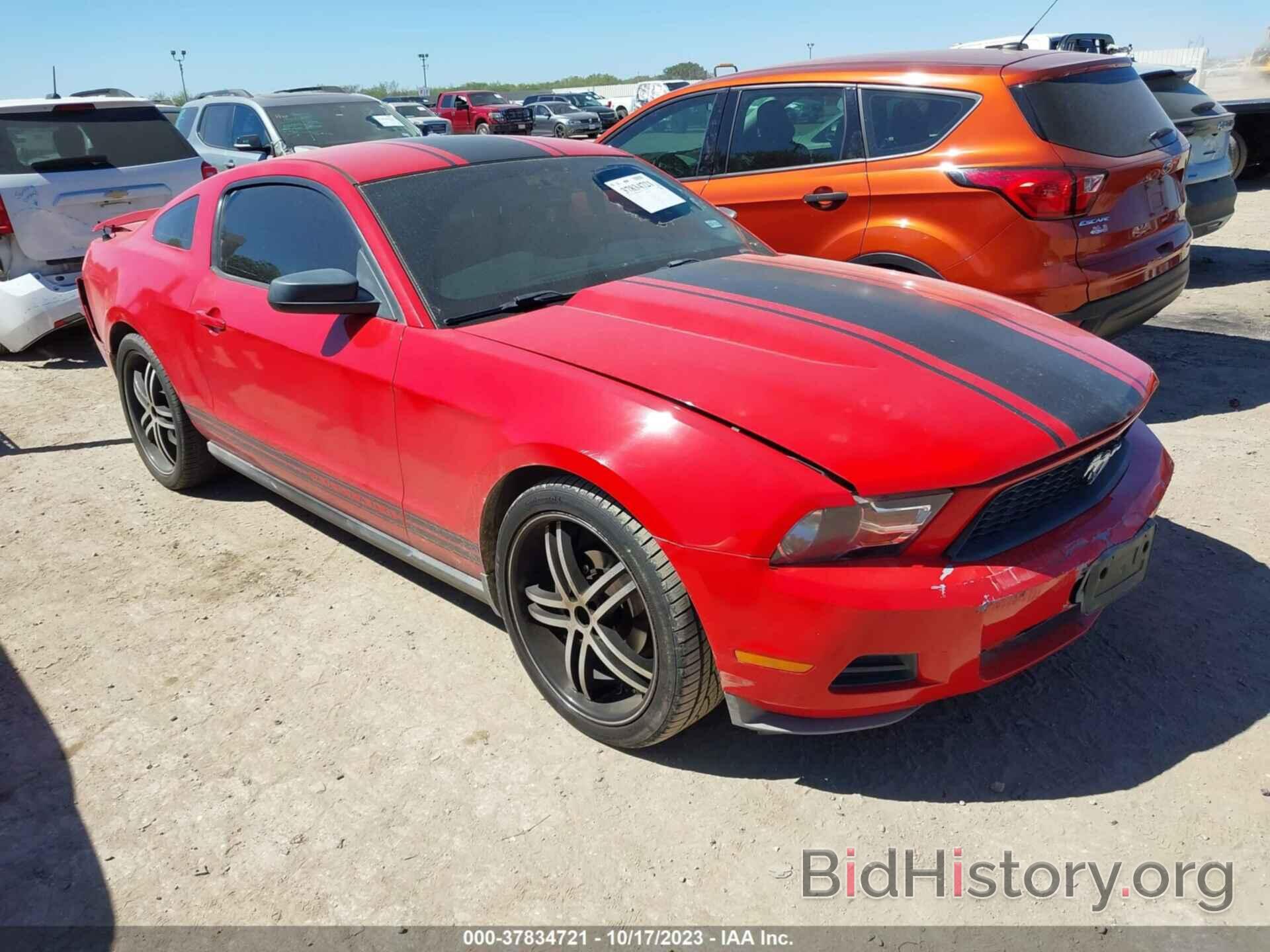 Photo 1ZVBP8AN6A5166702 - FORD MUSTANG 2010