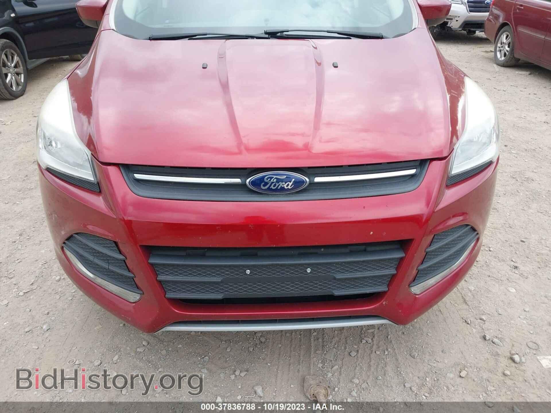 2013 FORD ESCAPE - VIN: 1FMCU0GX1DUB06665 - Фото 6