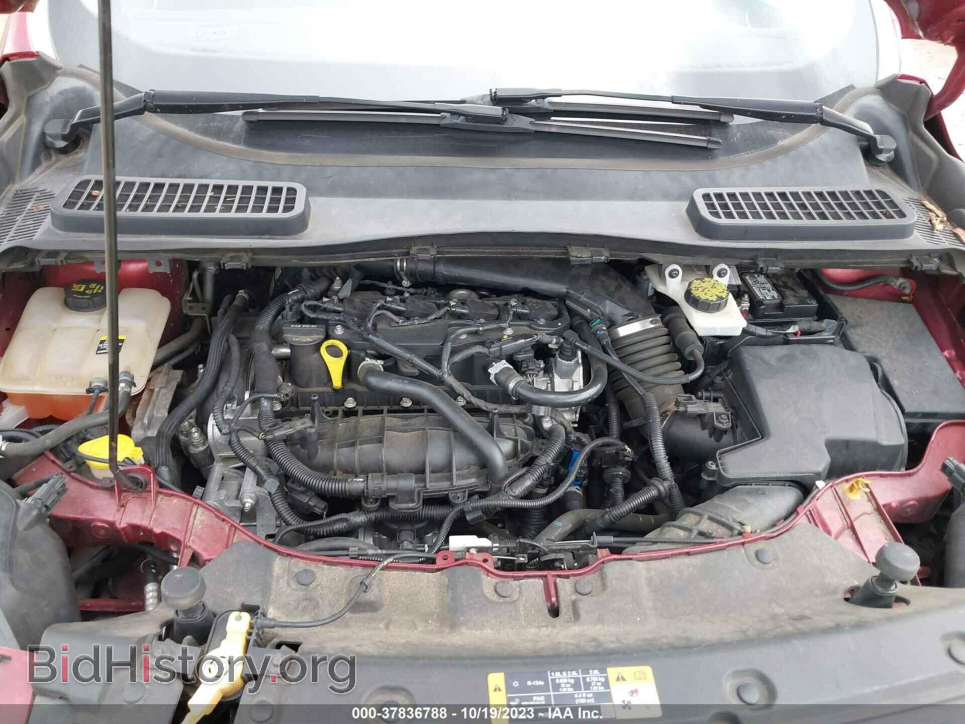 2013 FORD ESCAPE - VIN: 1FMCU0GX1DUB06665 - Фото 10