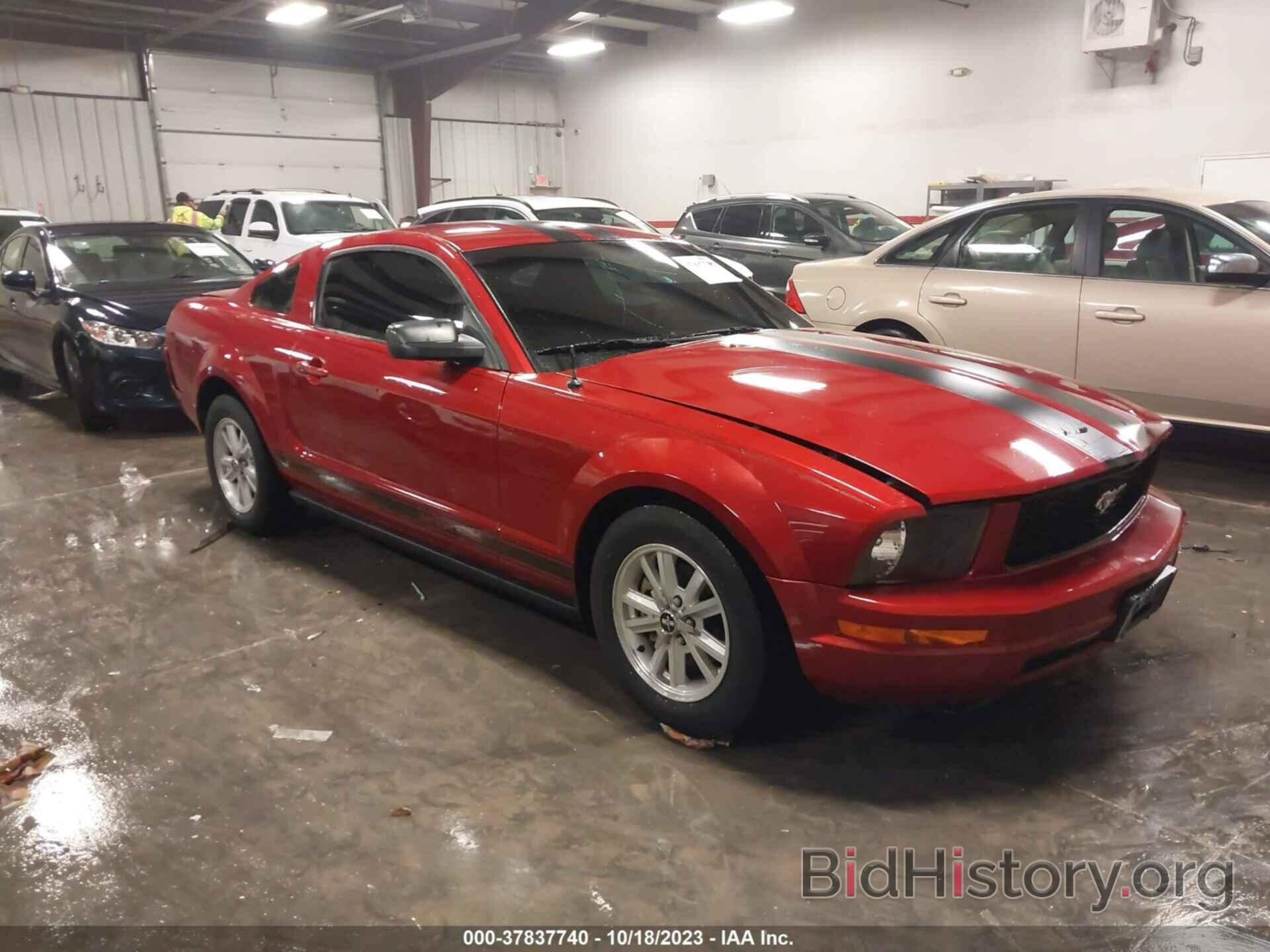 Photo 1ZVHT80N785193456 - FORD MUSTANG 2008