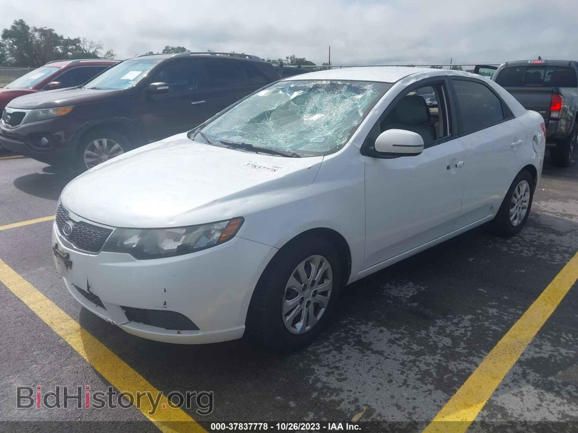 2013 KIA FORTE - VIN: KNAFU4A21D5736442 - Фото 2