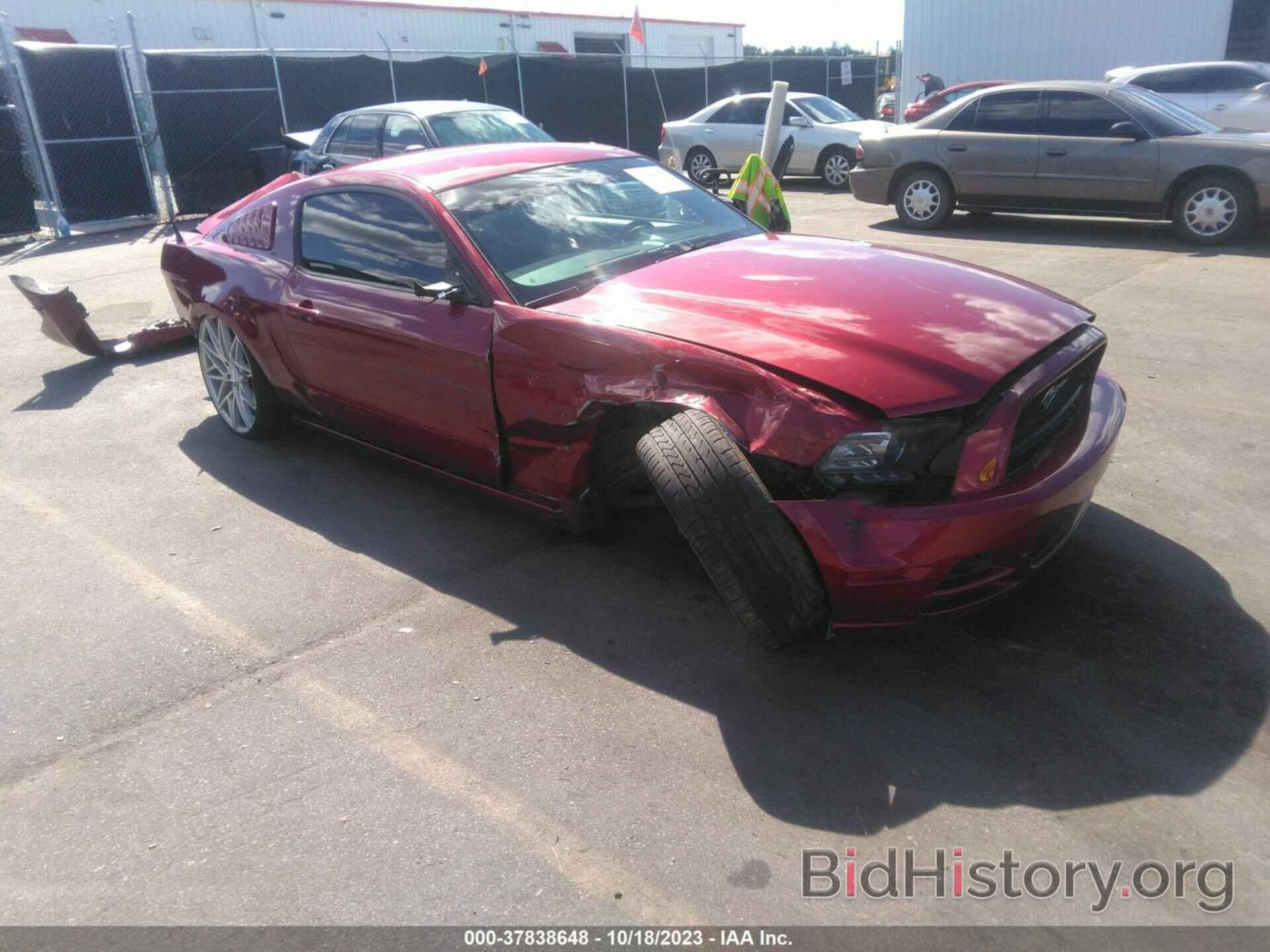 Photo 1ZVBP8AM4E5309059 - FORD MUSTANG 2014