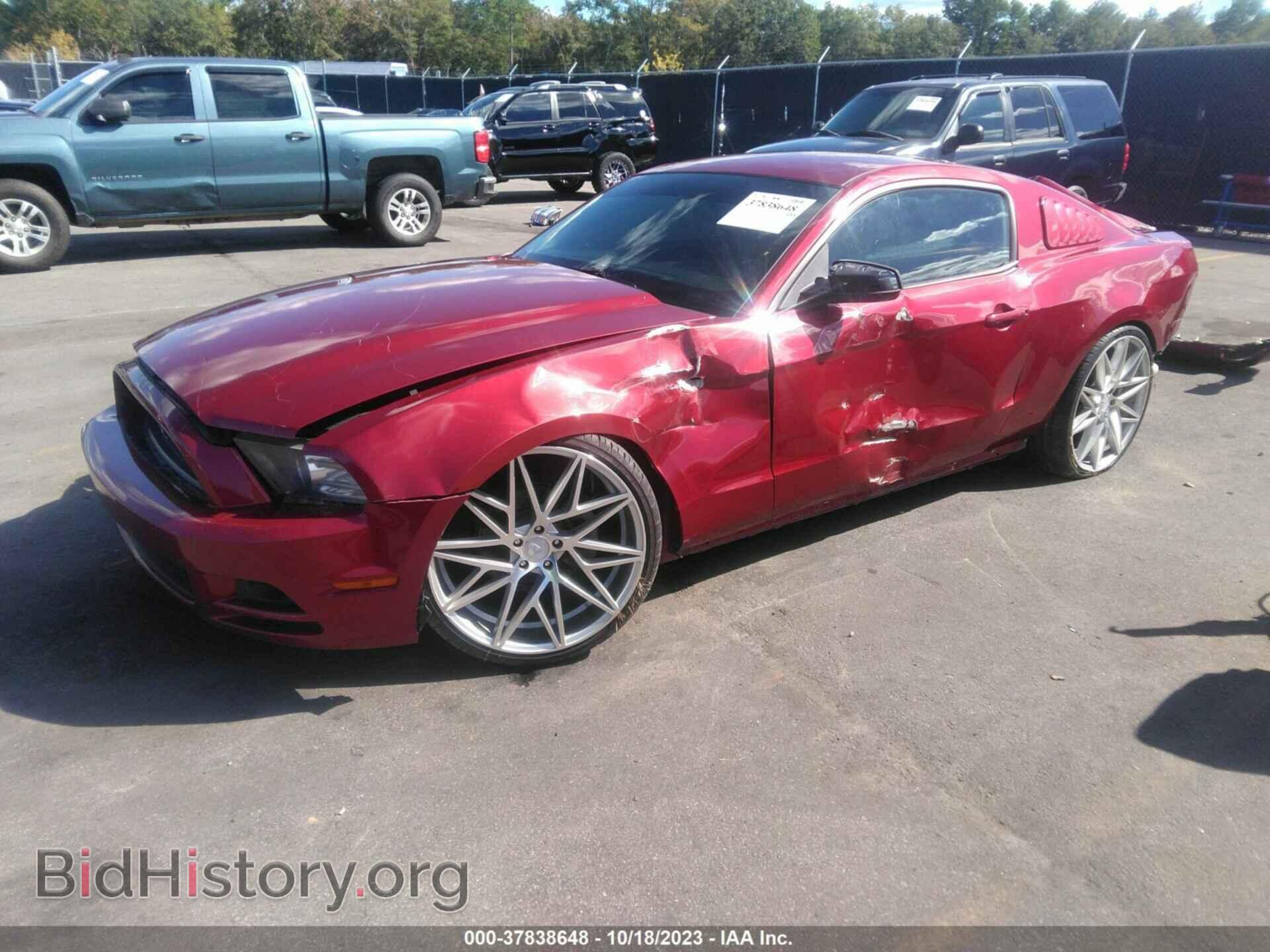 2014 FORD MUSTANG - VIN: 1ZVBP8AM4E5309059 - Фото 2