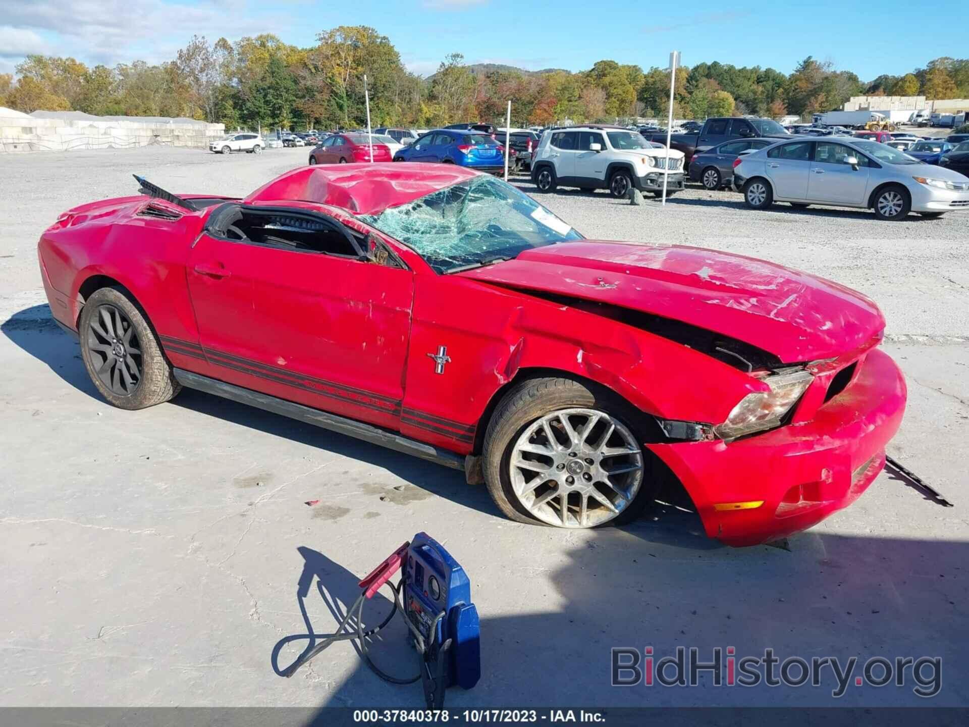 Photo 1ZVBP8AN3A5160419 - FORD MUSTANG 2010