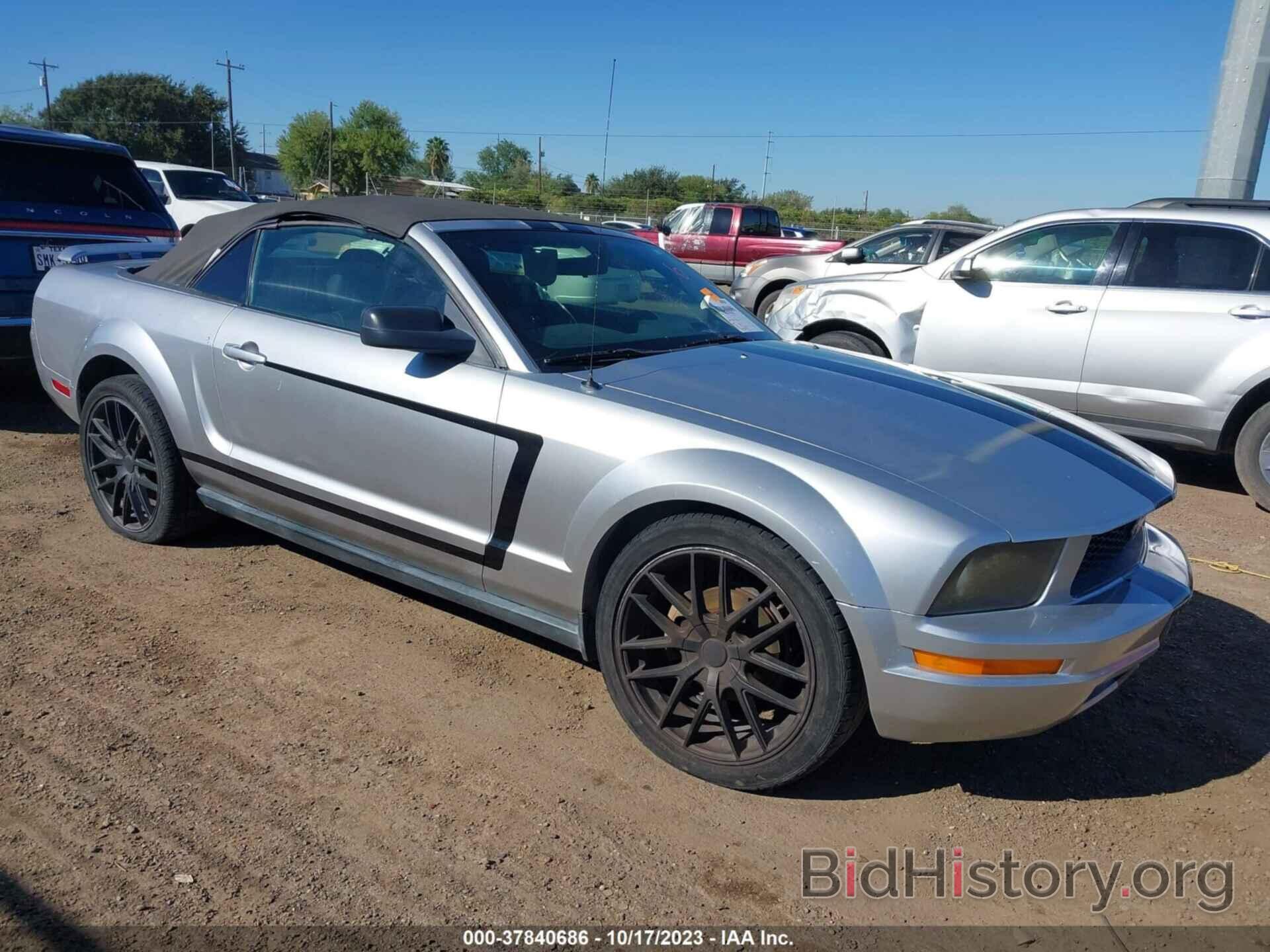 Photo 1ZVHT84NX65106804 - FORD MUSTANG 2006