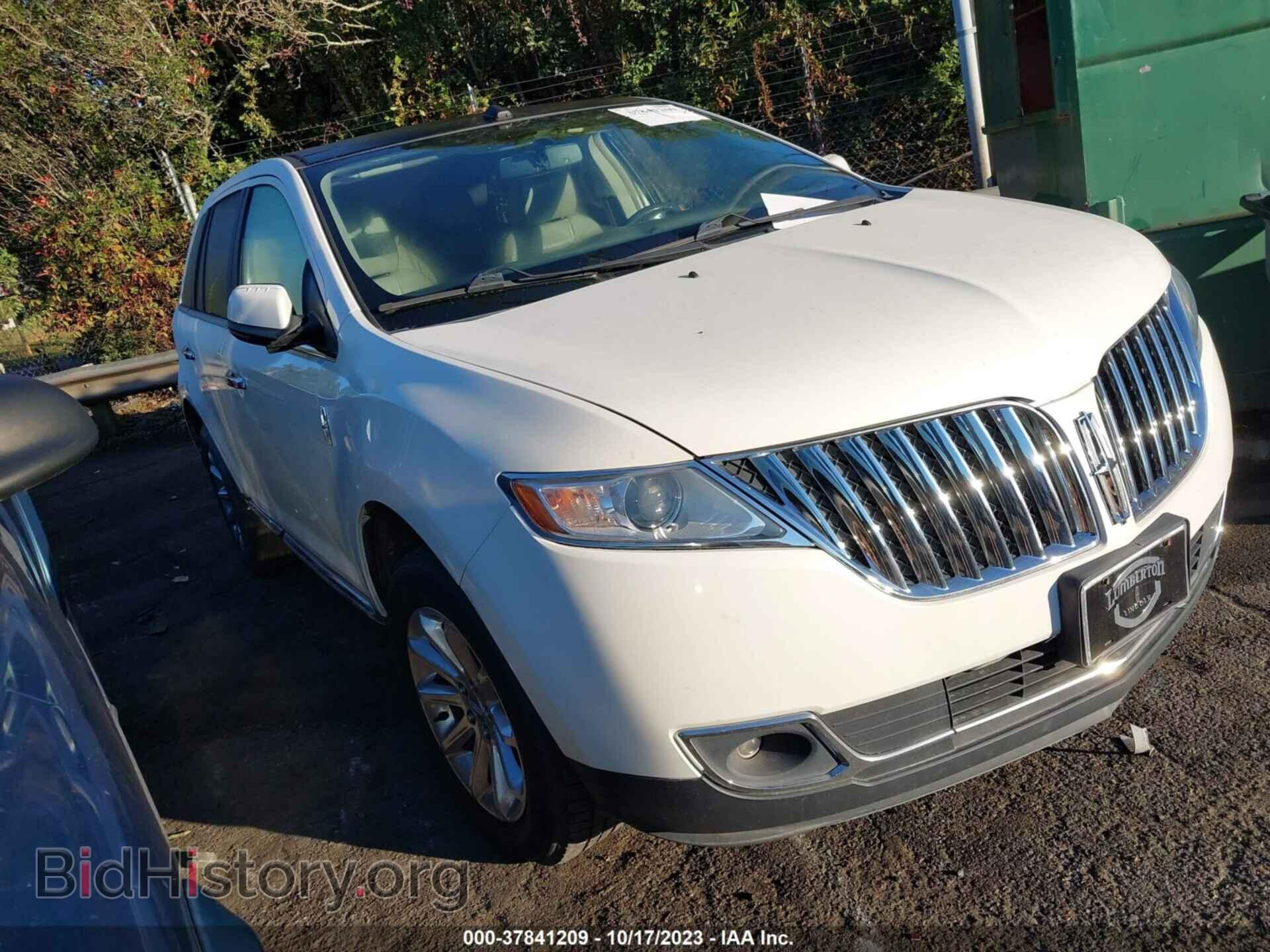 Photo 2LMDJ8JK7DBL23933 - LINCOLN MKX 2013