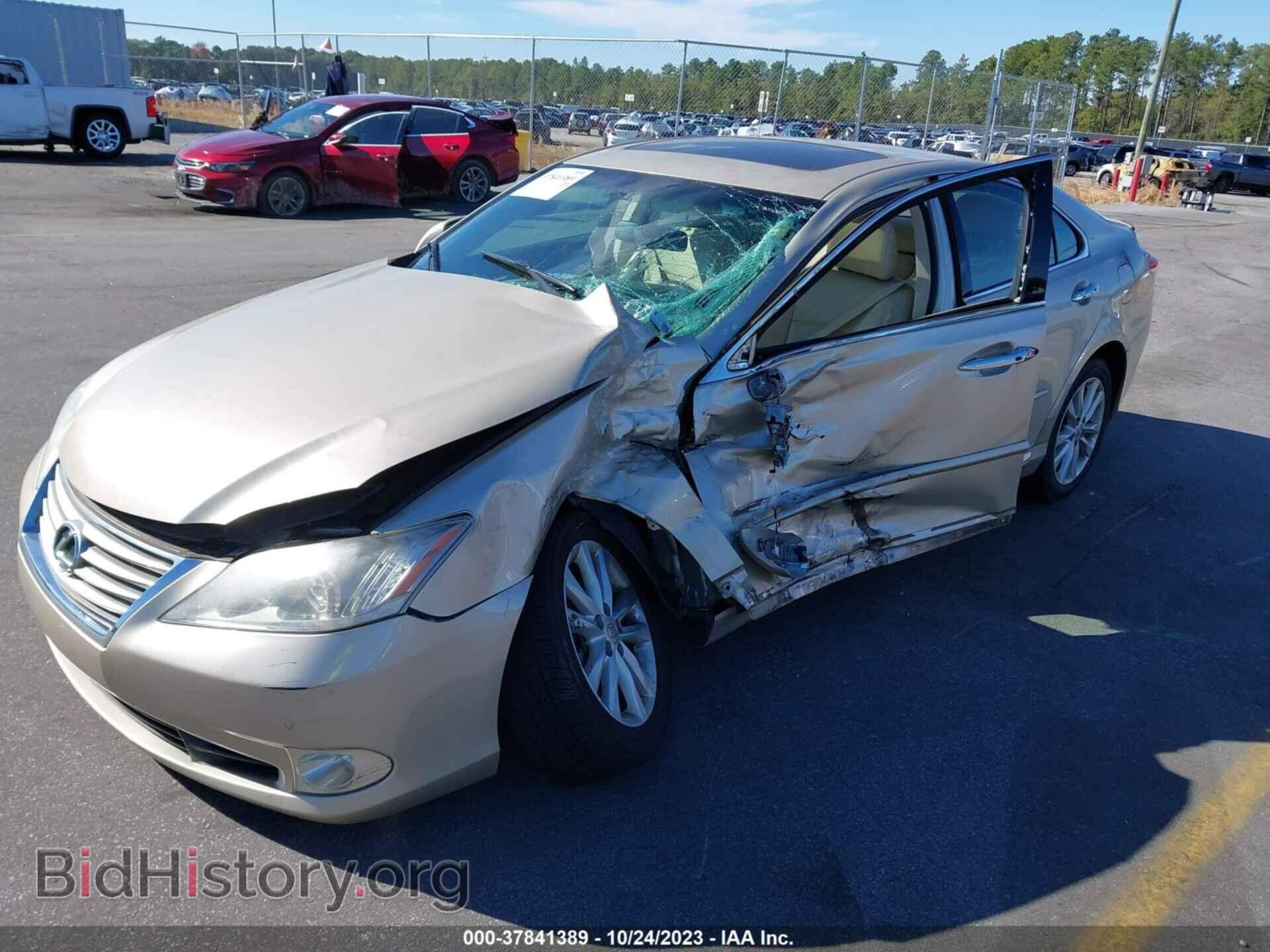 2010 LEXUS ES 350 - VIN: JTHBK1EG0A2411725 - Фото 2