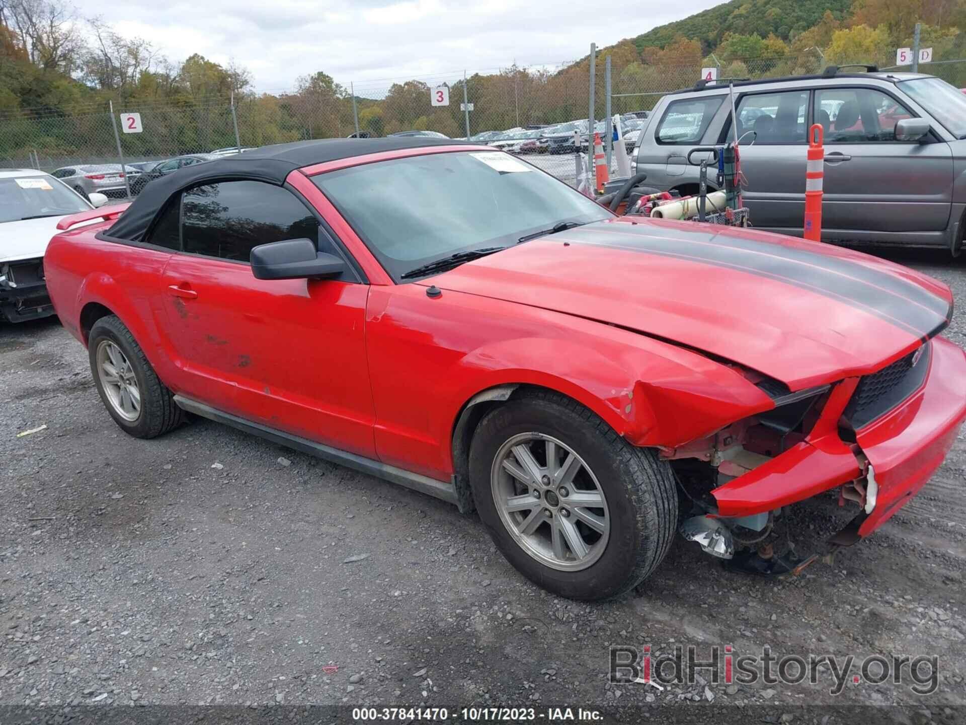 Photo 1ZVFT84N775323025 - FORD MUSTANG 2007