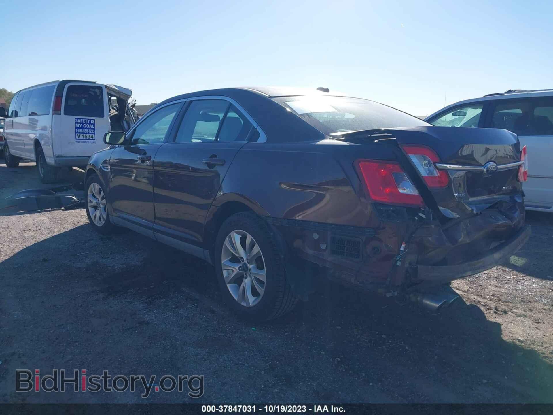 2010 FORD TAURUS - VIN: 1FAHP2EW6AG113263 - Фото 3