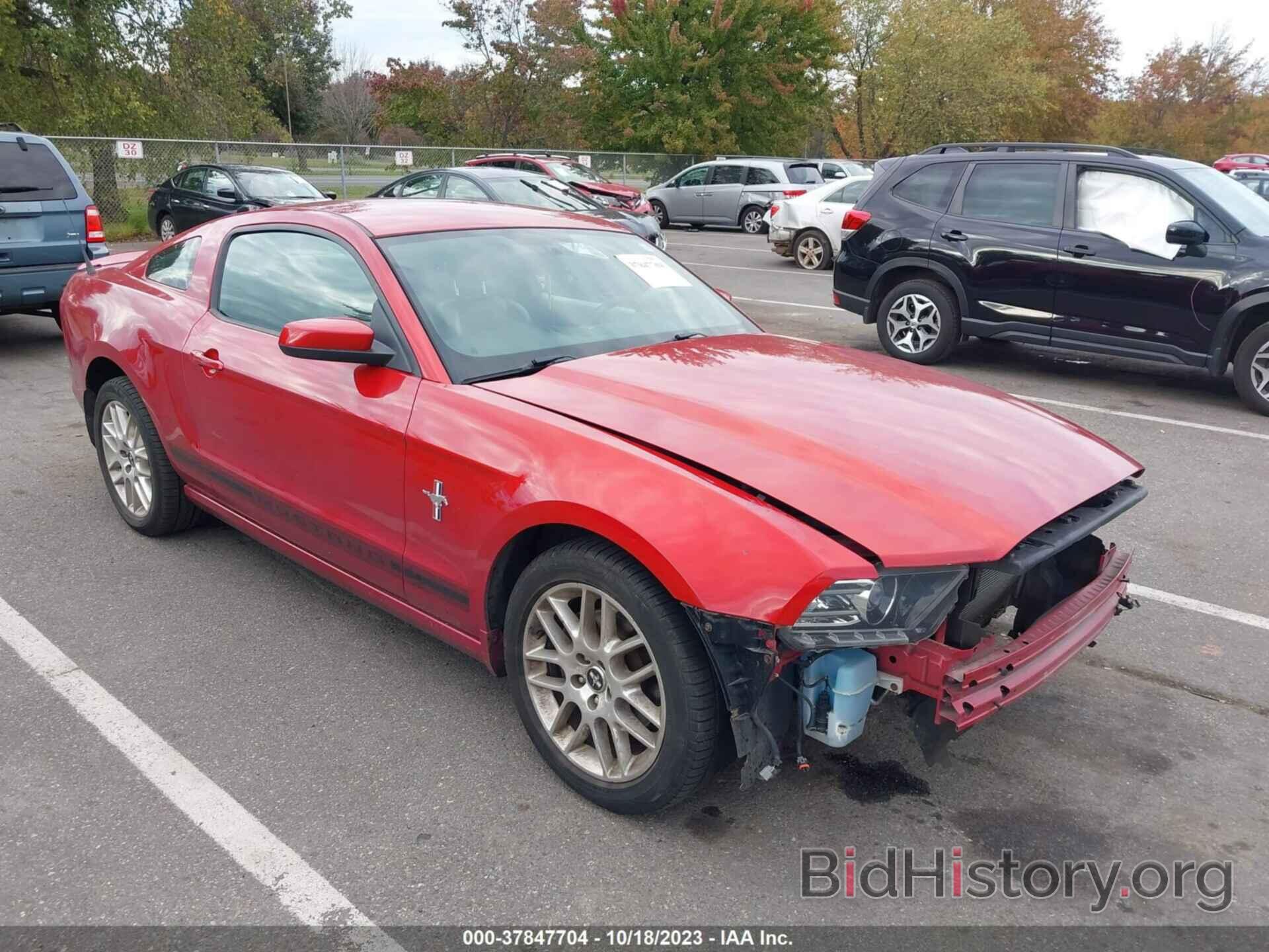 Photo 1ZVBP8AM9D5283587 - FORD MUSTANG 2013