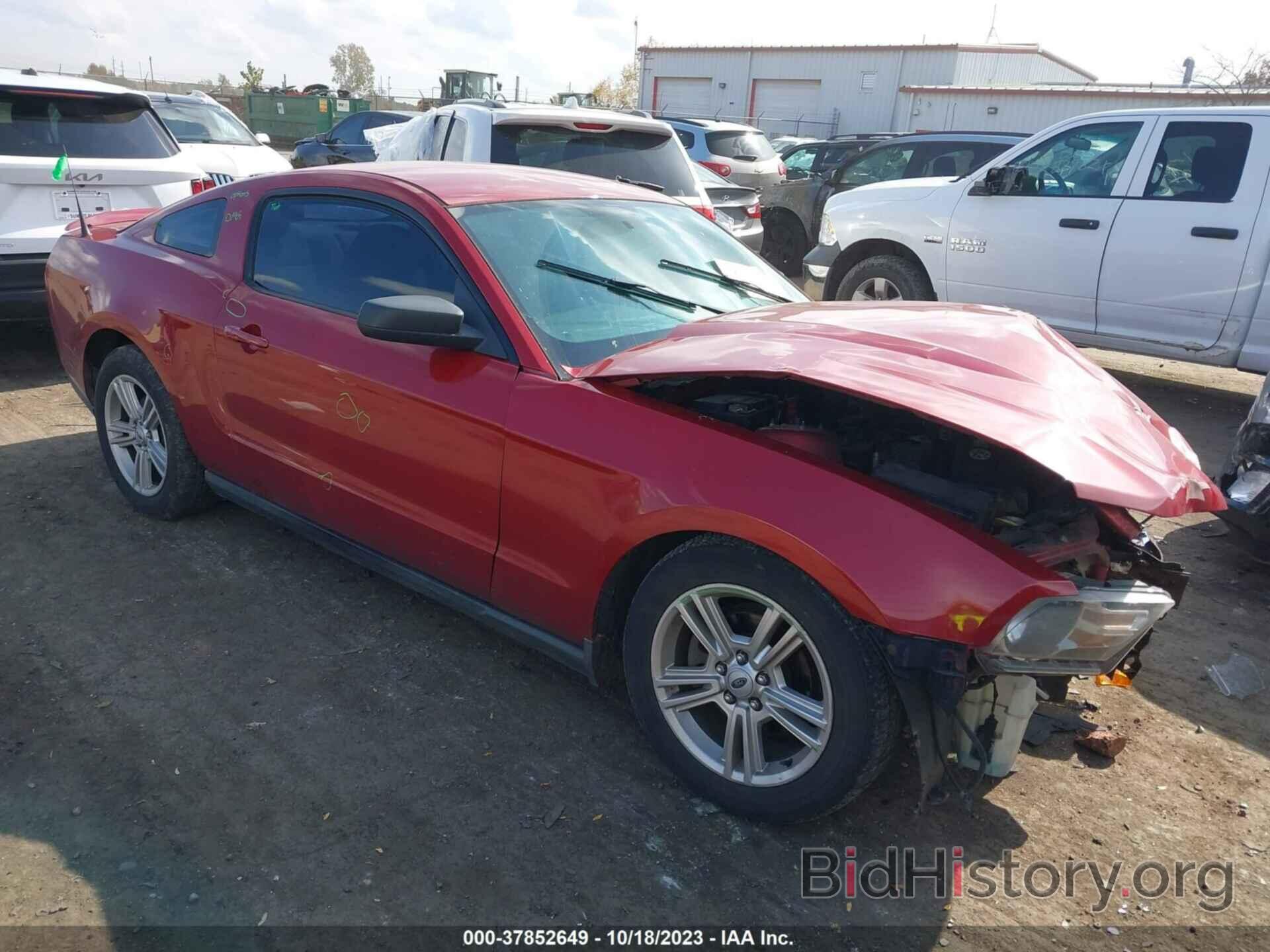 Photo 1ZVBP8AN3A5111978 - FORD MUSTANG 2010