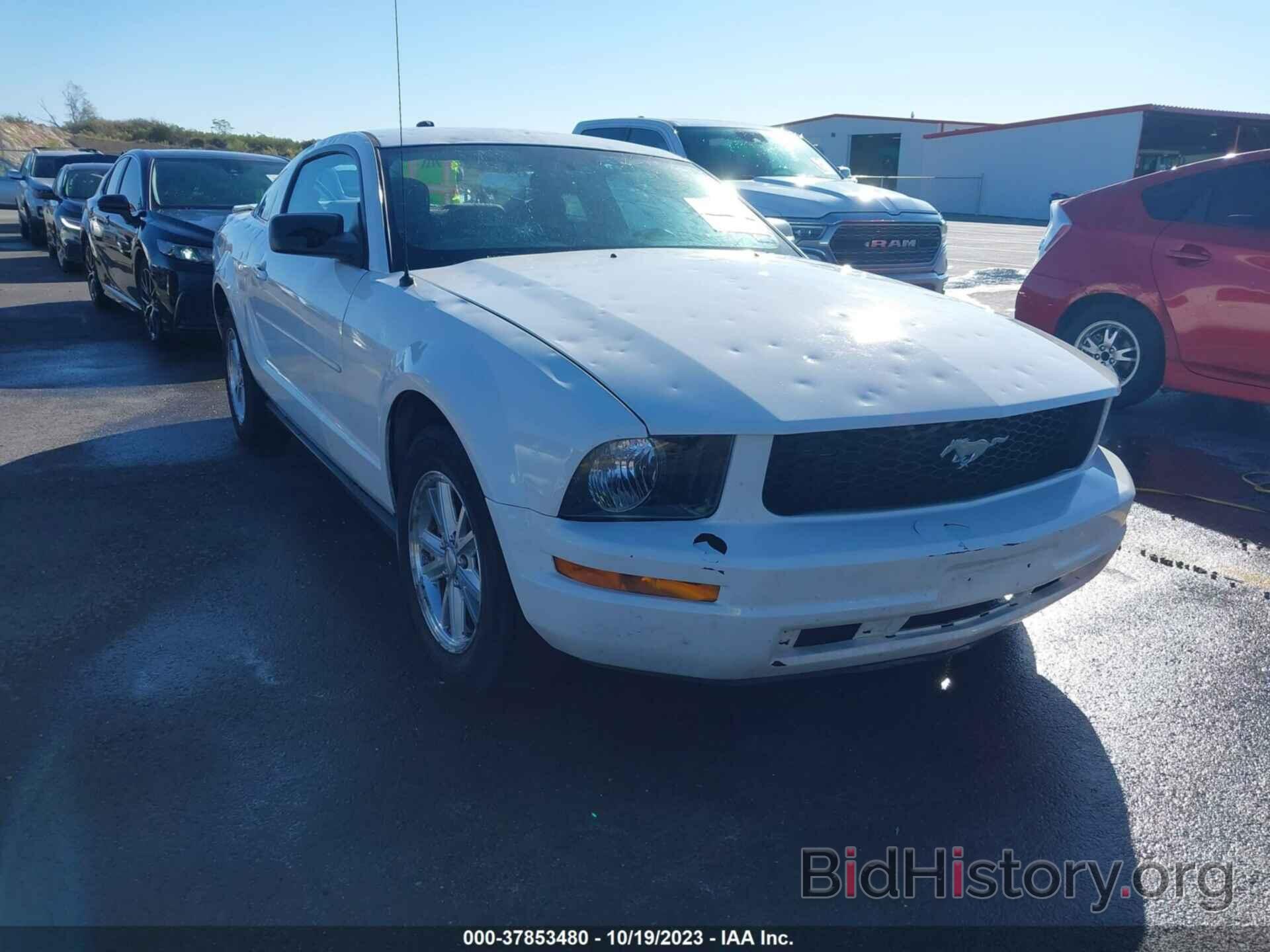 Photo 1ZVHT80N085169600 - FORD MUSTANG 2008