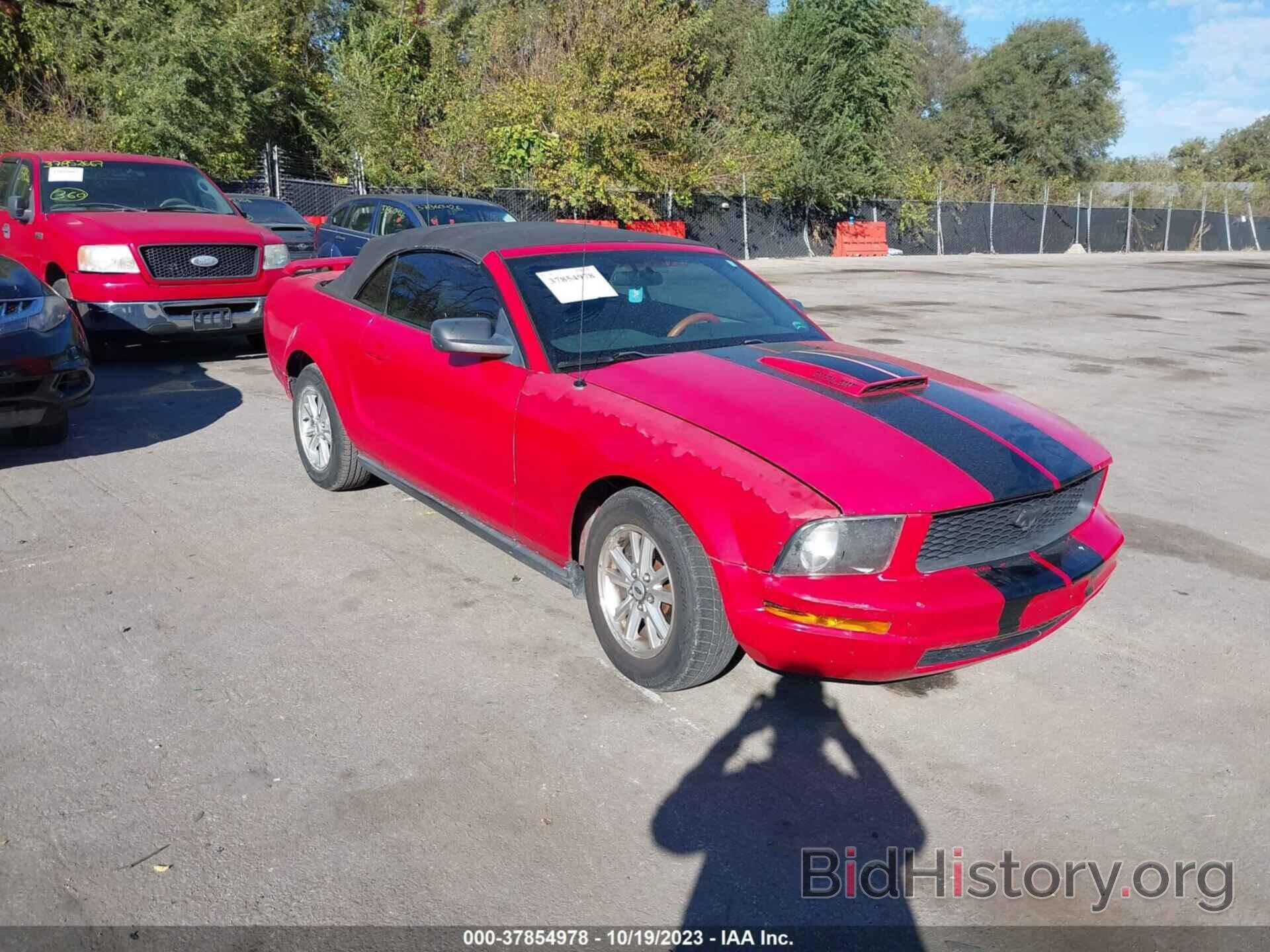 Photo 1ZVHT84N695112460 - FORD MUSTANG 2009