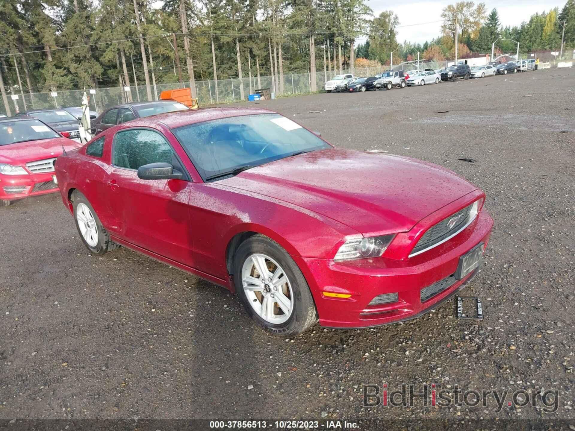 Photo 1ZVBP8AM5E5250569 - FORD MUSTANG 2014