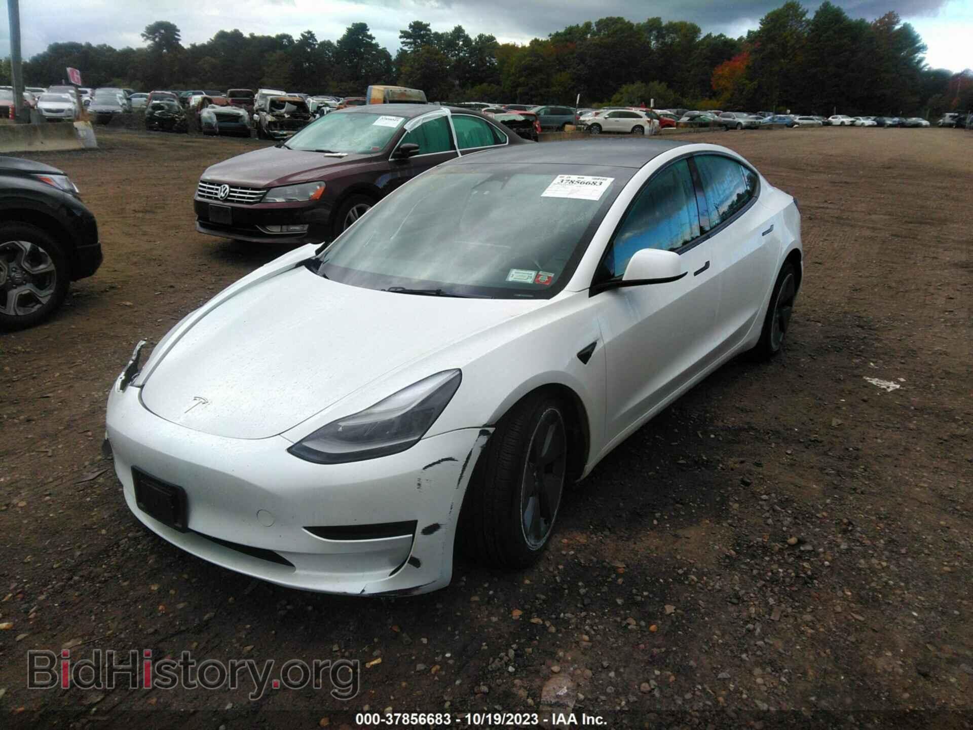 2023 TESLA MODEL 3 - VIN: 5YJ3E1EA3PF503068 - Photo 2