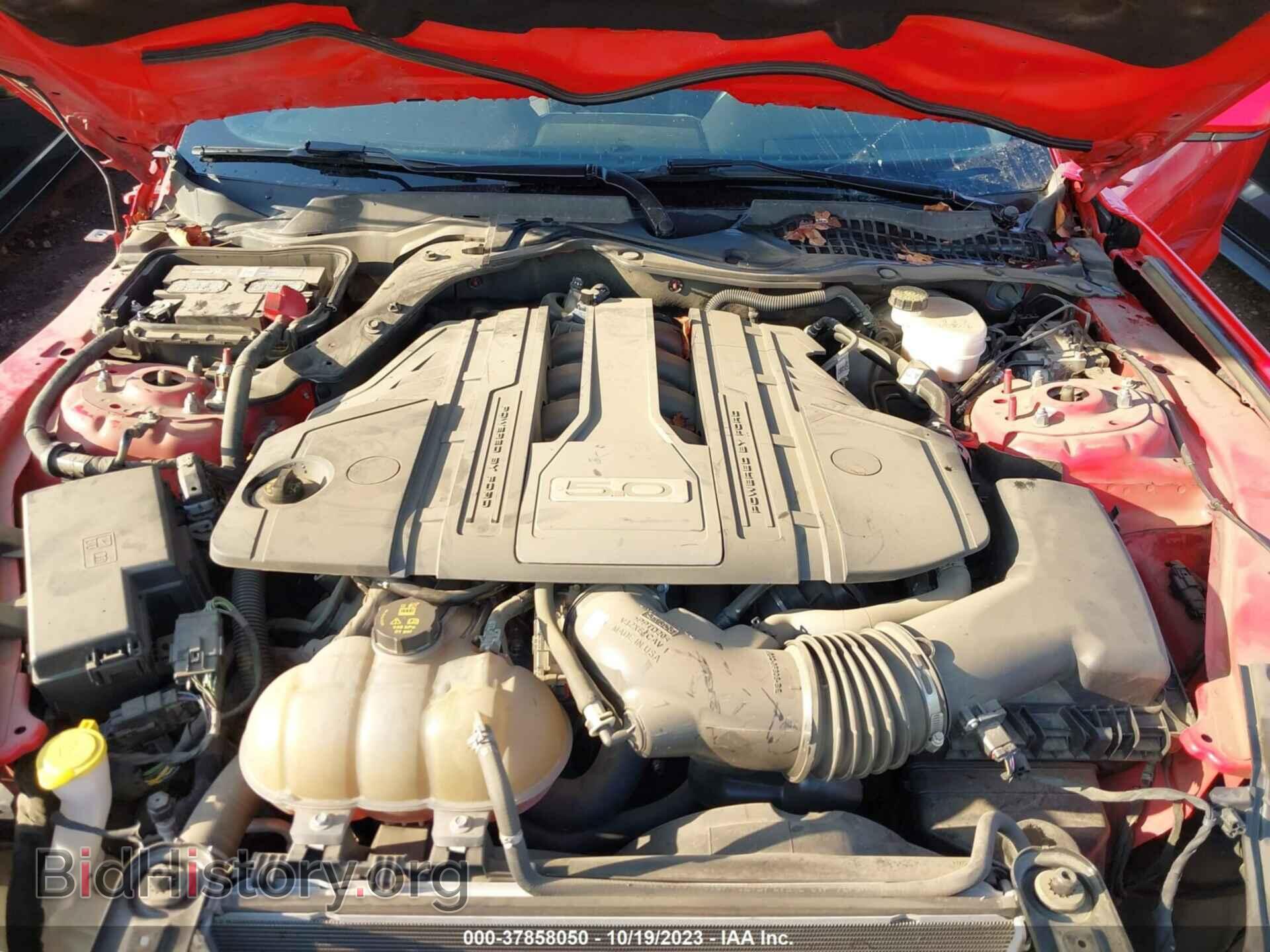 2019 FORD MUSTANG - VIN: 1FA6P8CF9K5199260 - Фото 10